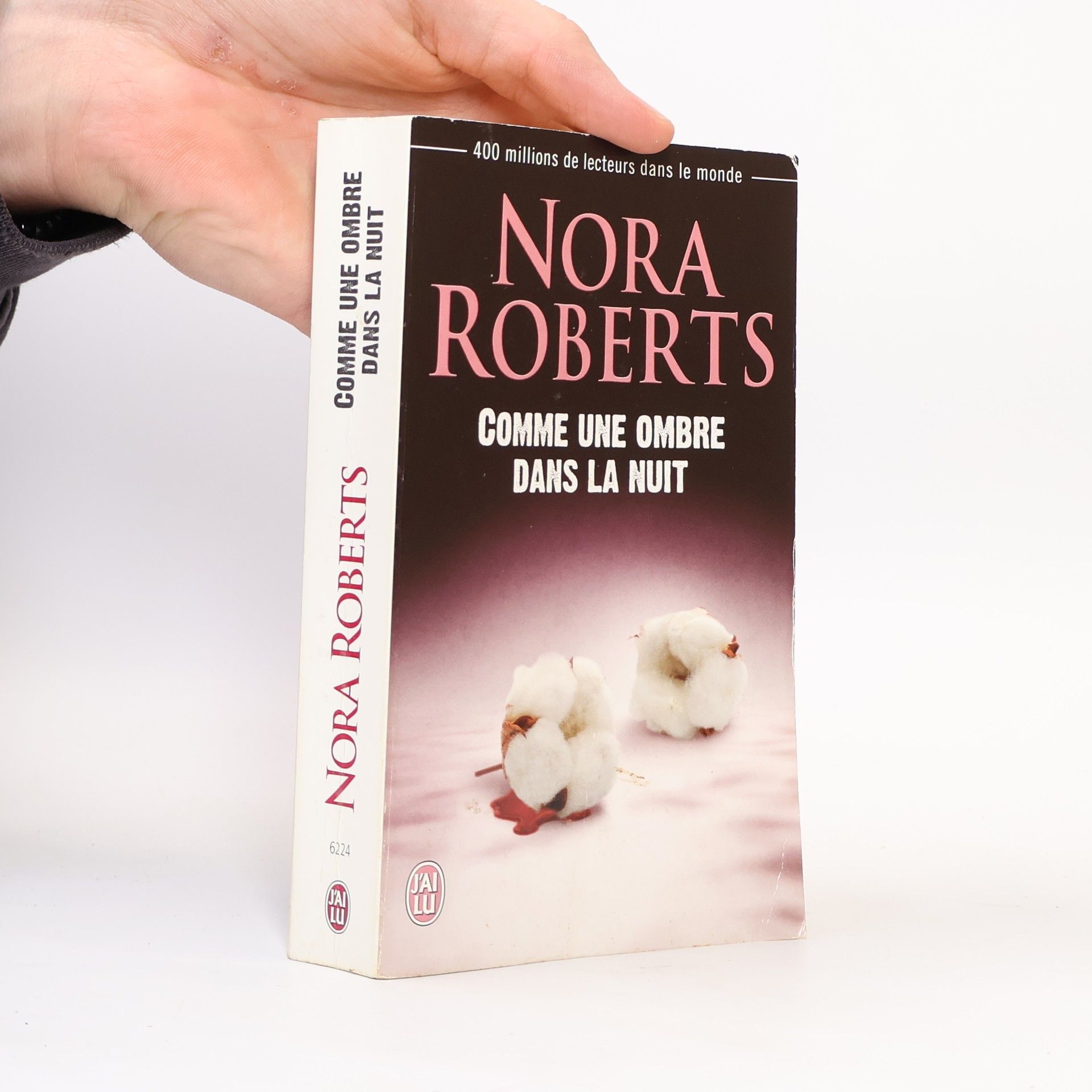 Regina Langer Comme une ombre dans la nuit