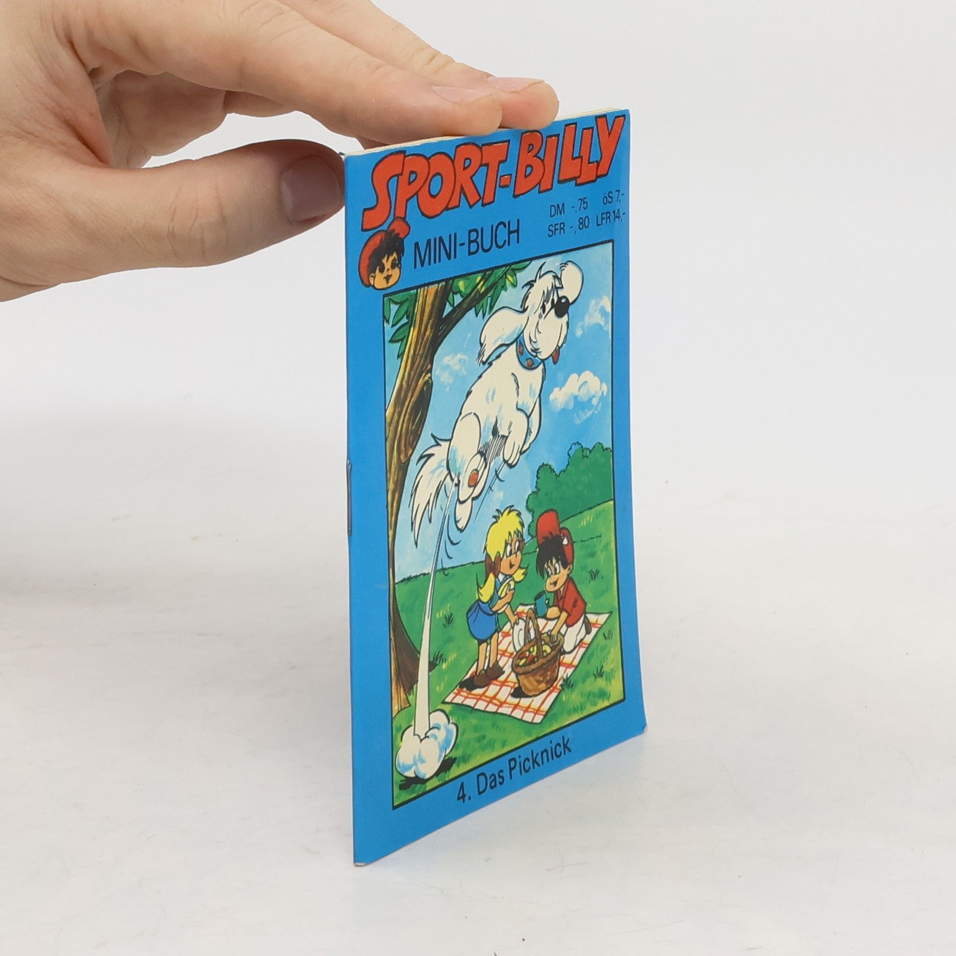Autorenkollektiv Sport-Billy 4. Das Picknick