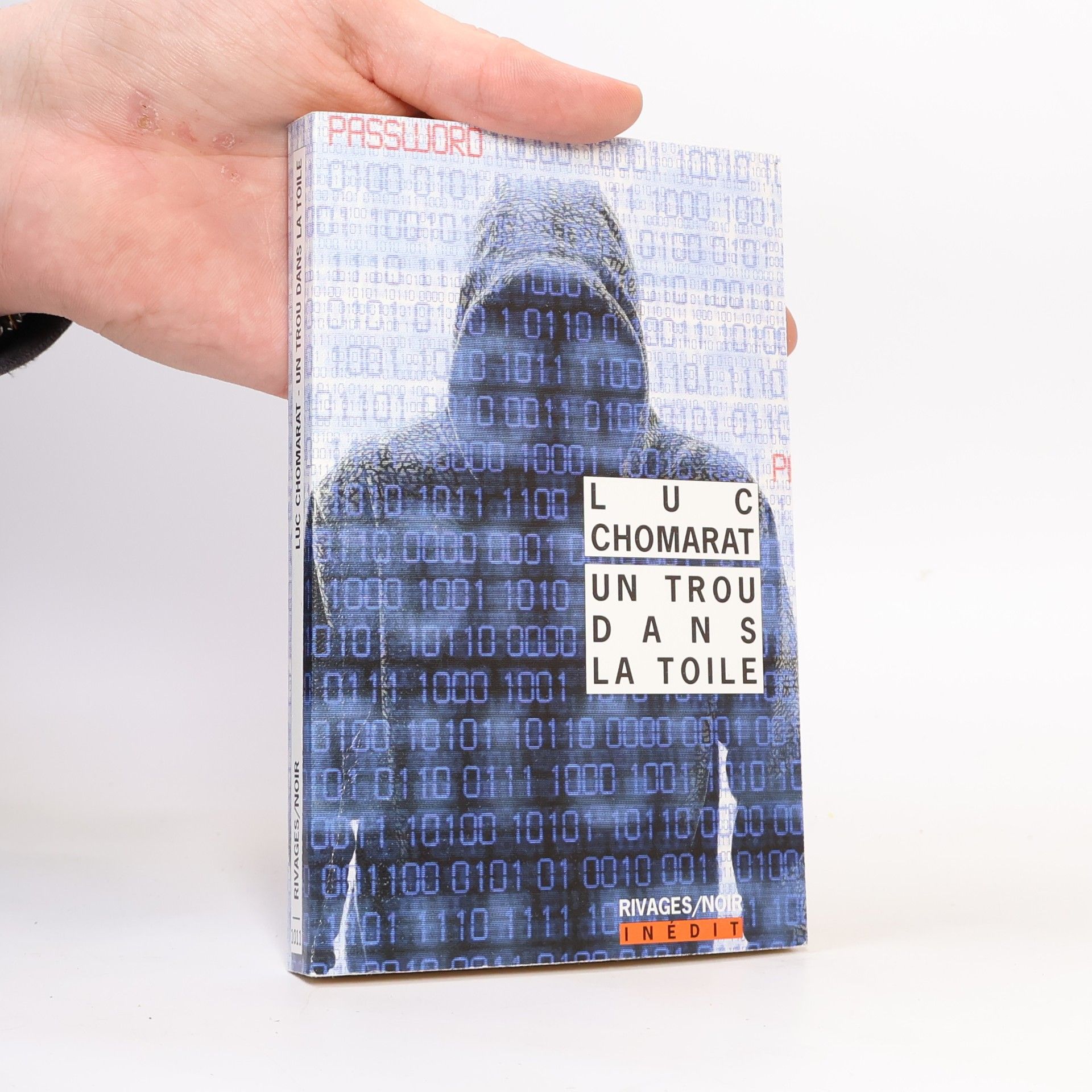 Luc Chomarat Rivages/Noir: Un trou dans la toile - French Edition