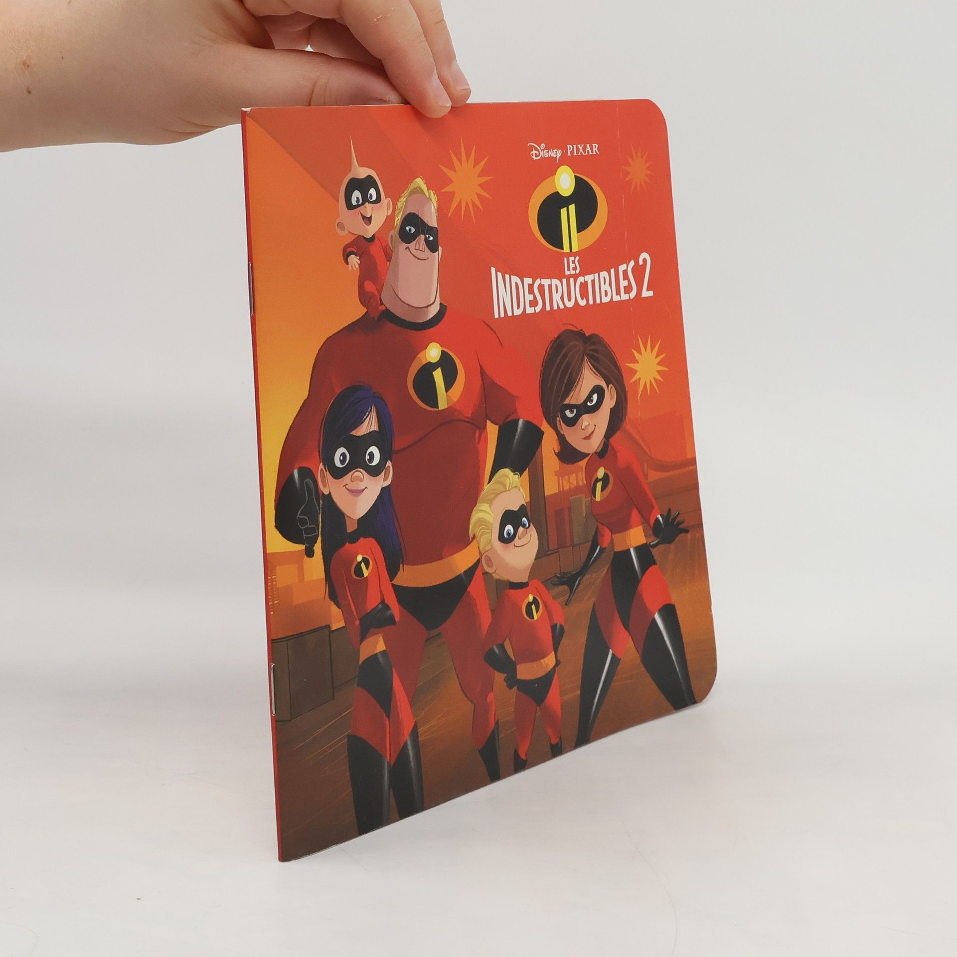 Collectif d'auteurs Les Indestructibles 2