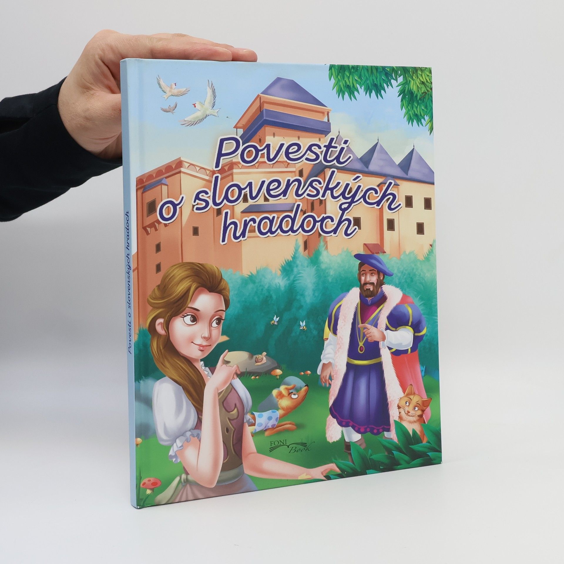 Autorenkollektiv Povesti o slovenských hradoch