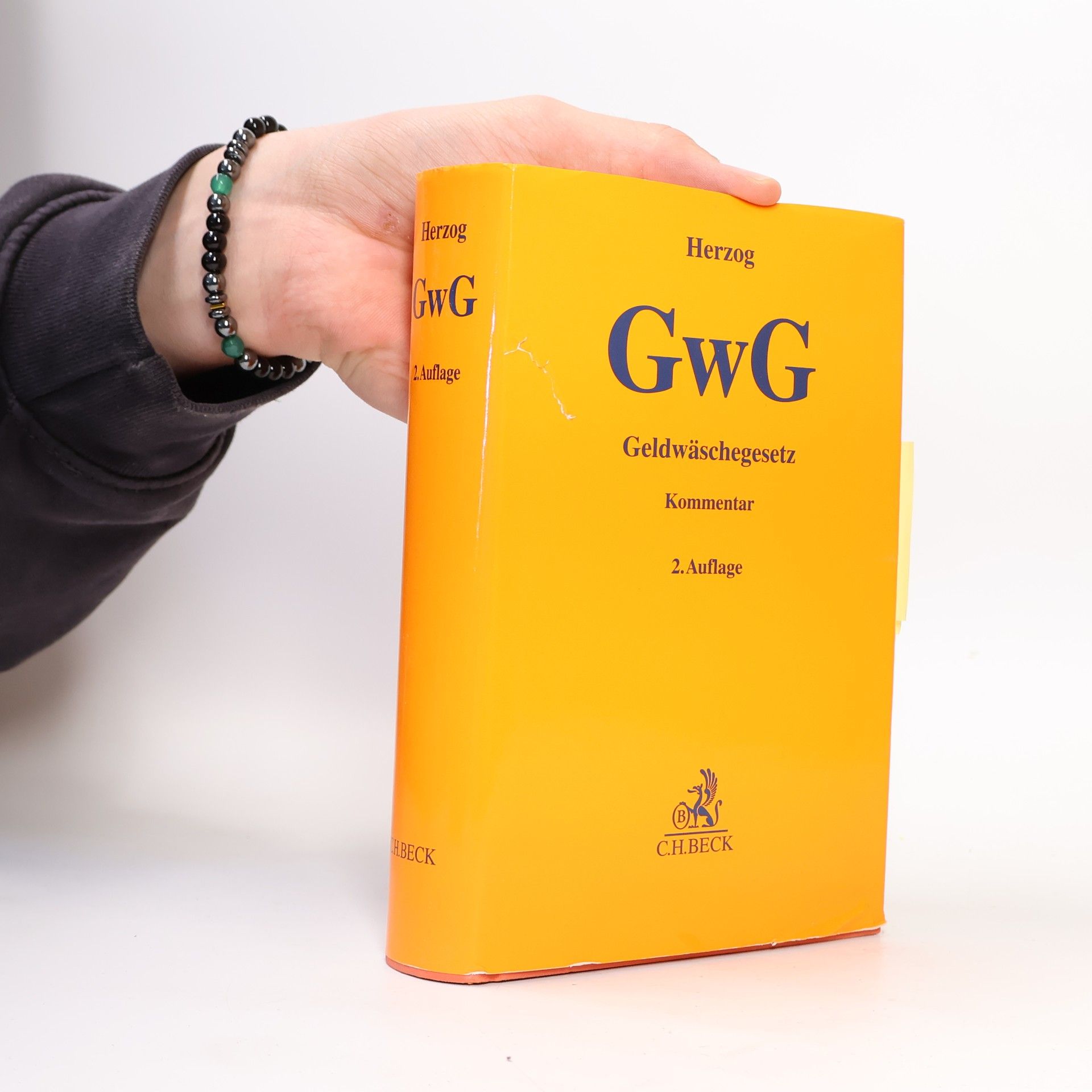 Felix Herzog Geldwäschegesetz