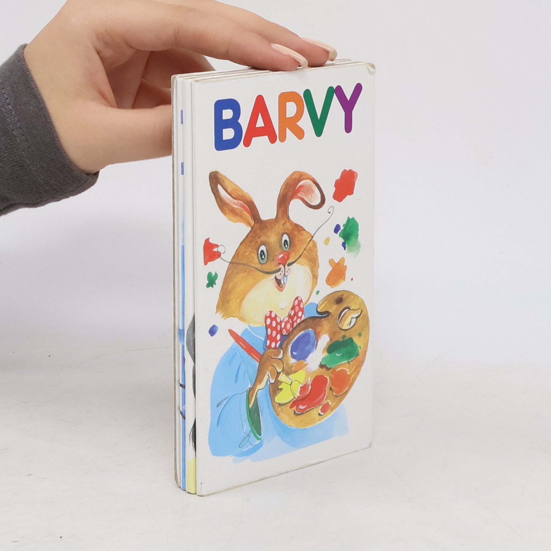 Kolektiv autorů Barvy