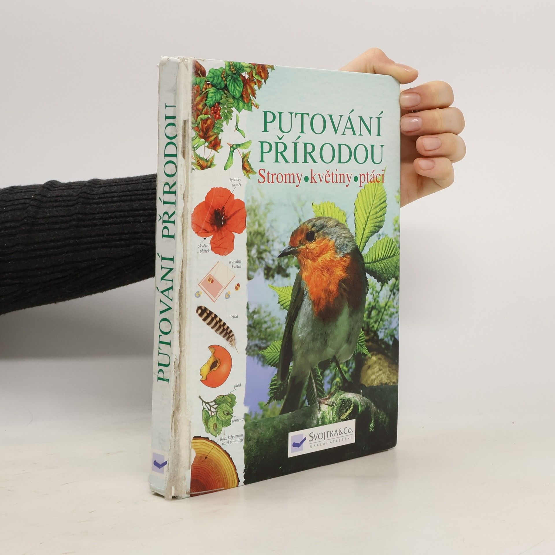 Autorenkollektiv Putování přírodou: Stromy, květiny, ptáci