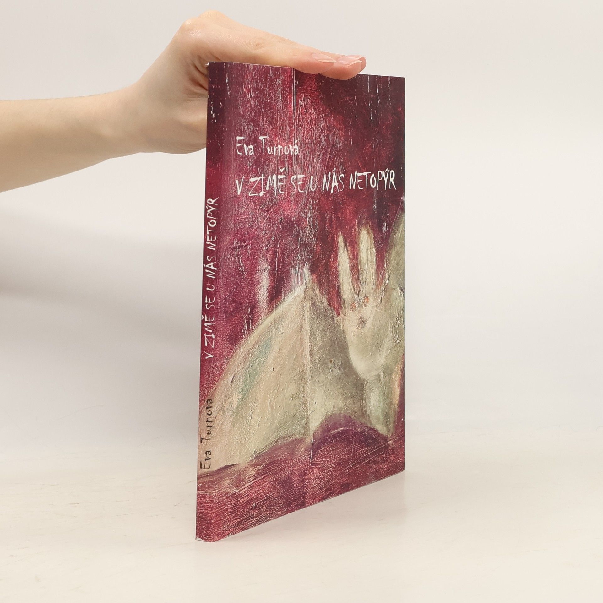 Eva Turnová V zimě se u nás netopýr