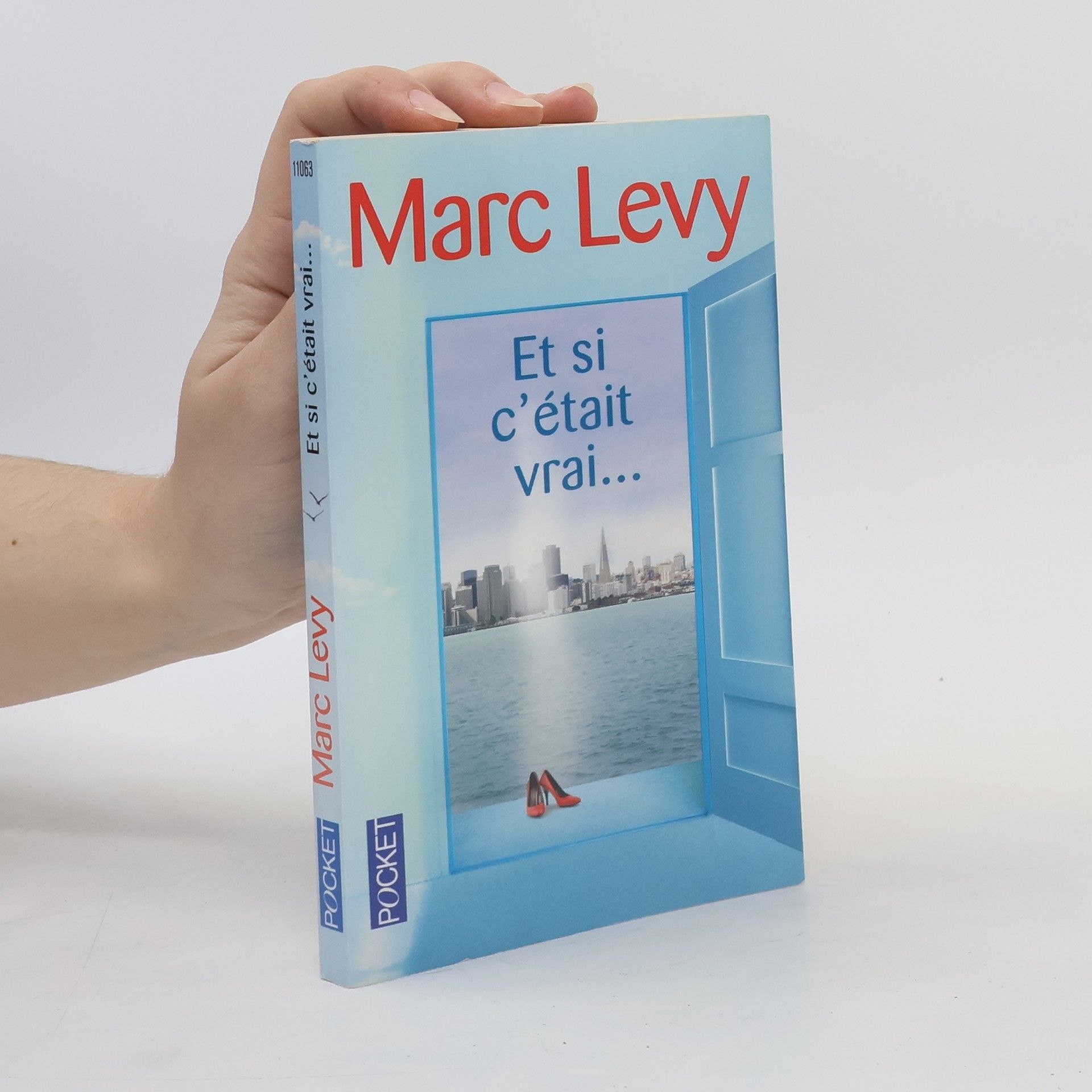 Marc Lévy Et si c'était vrai...