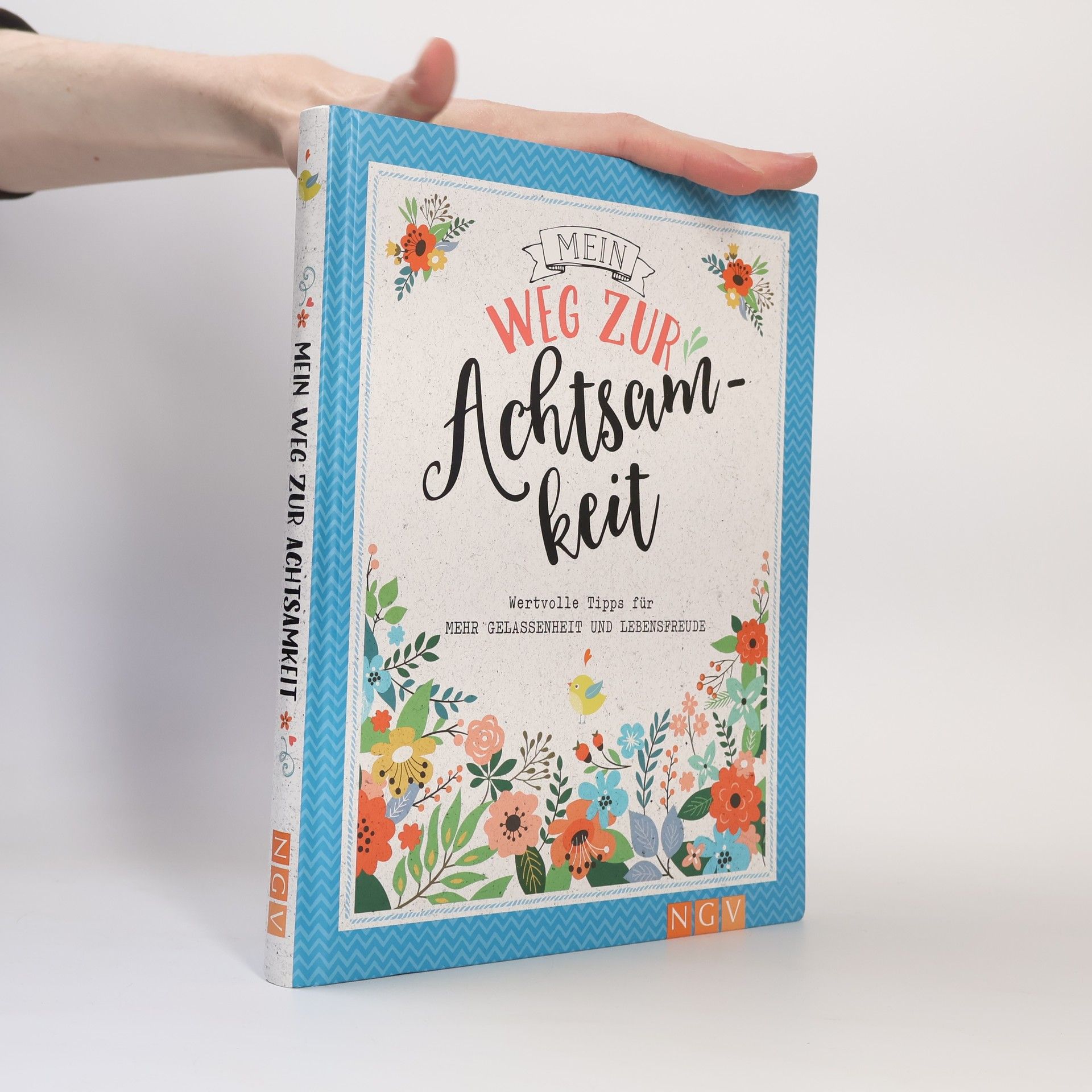 Kolektiv autorů Mein Weg zur Achtsamkei