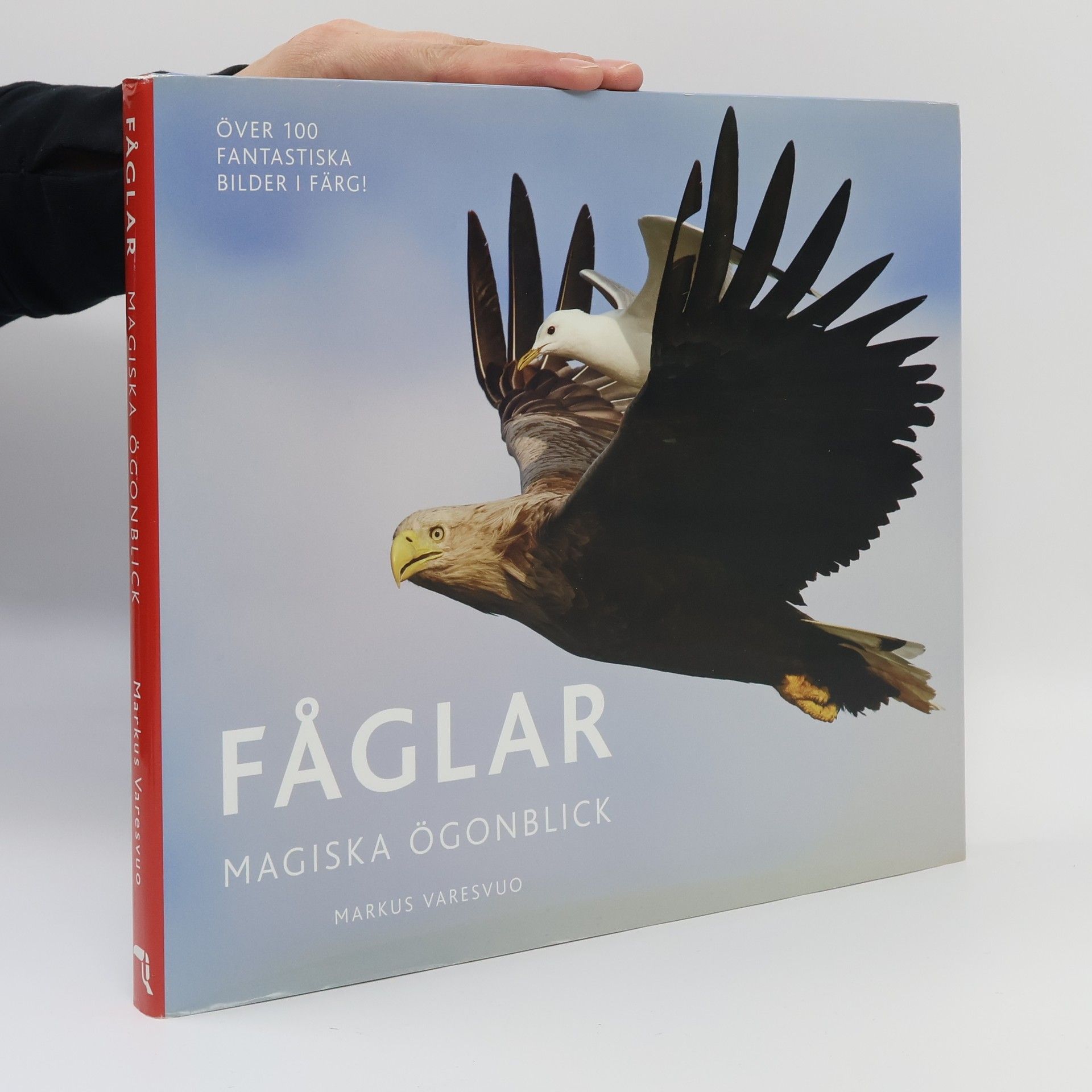 Markus Varesvuo Fåglar. Magiska ögonblick