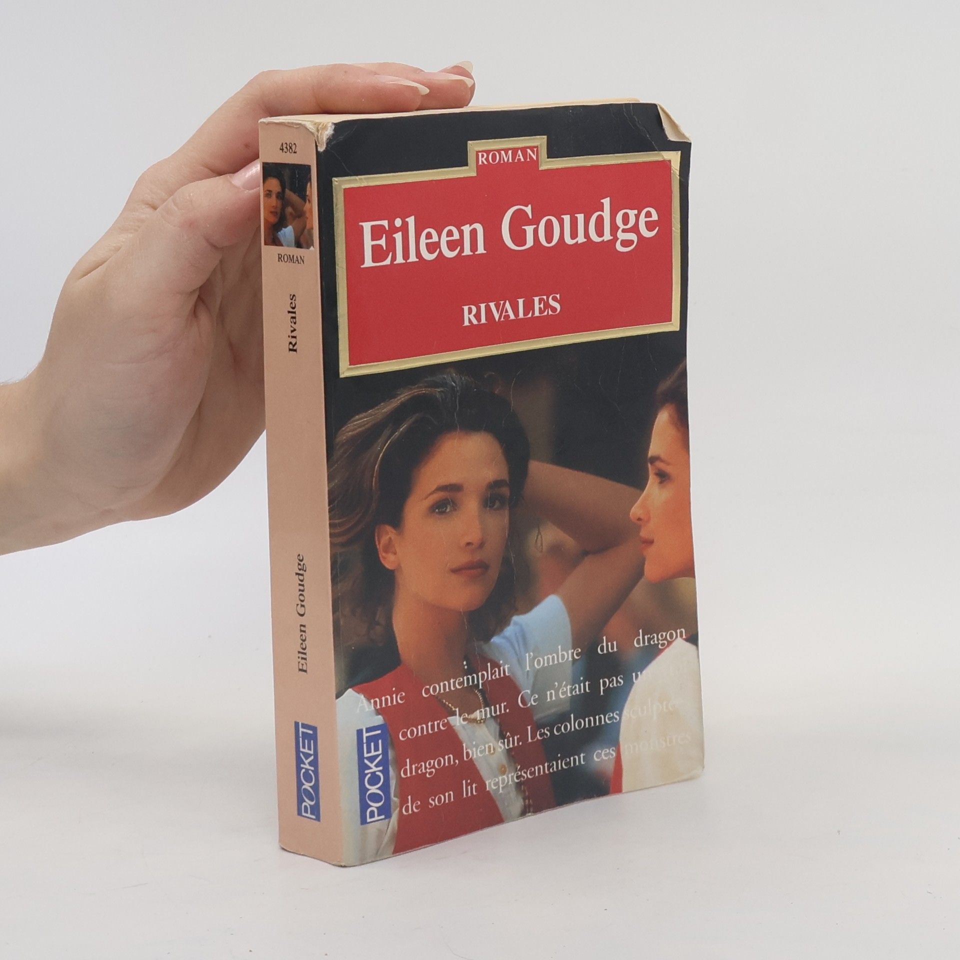 Eileen Goudge Rivales