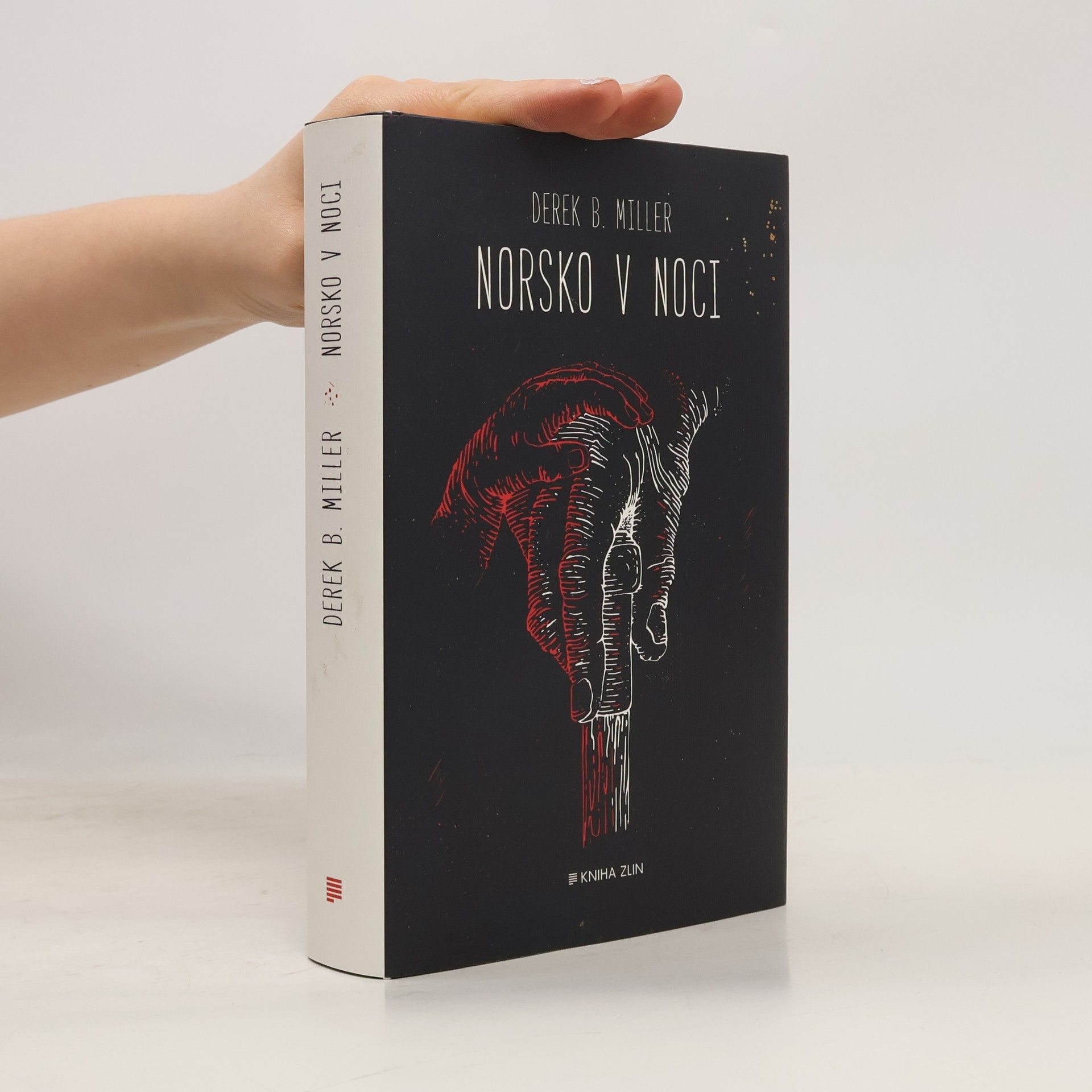 Derek B. Miller Norsko v noci