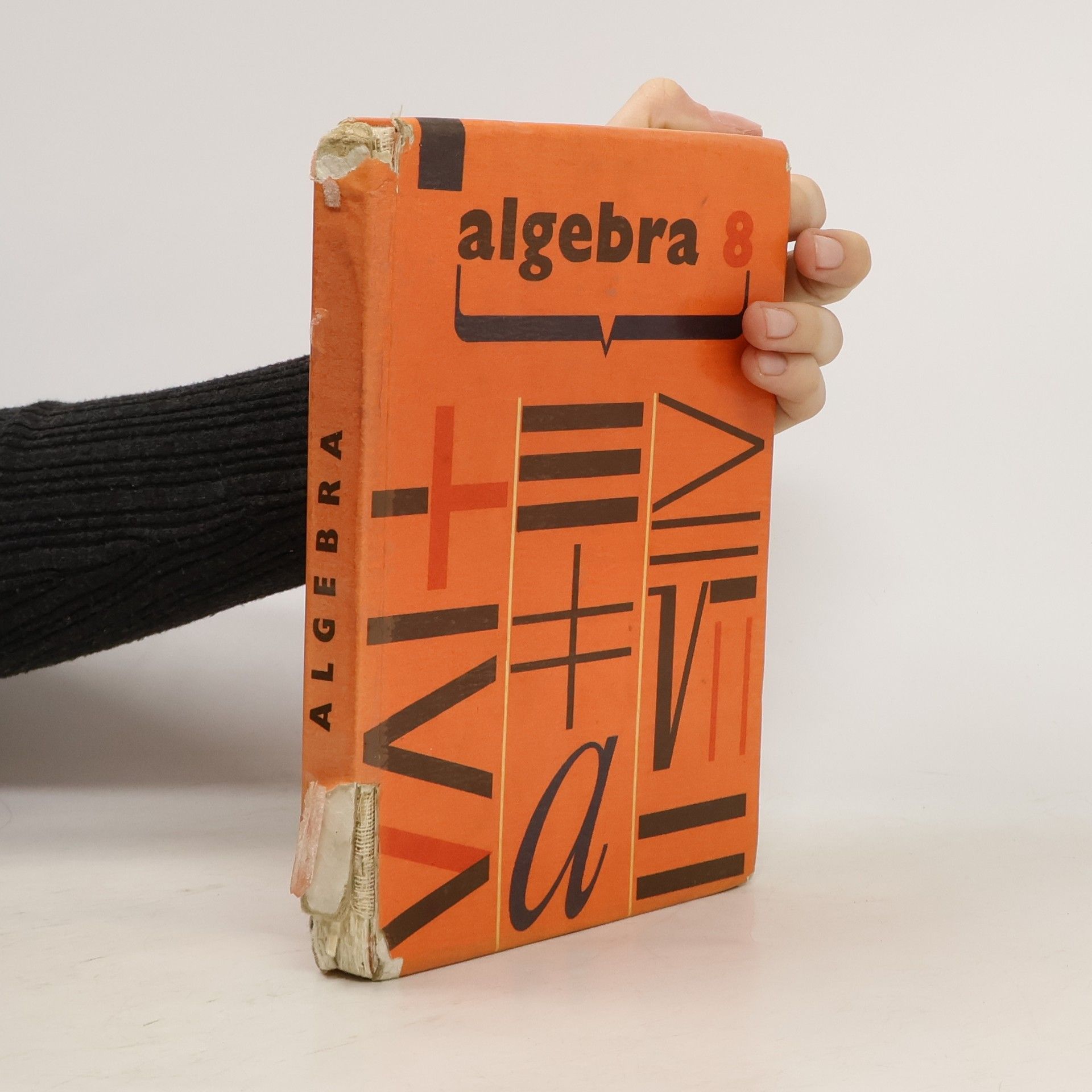 Autorenkollektiv Algebra 8