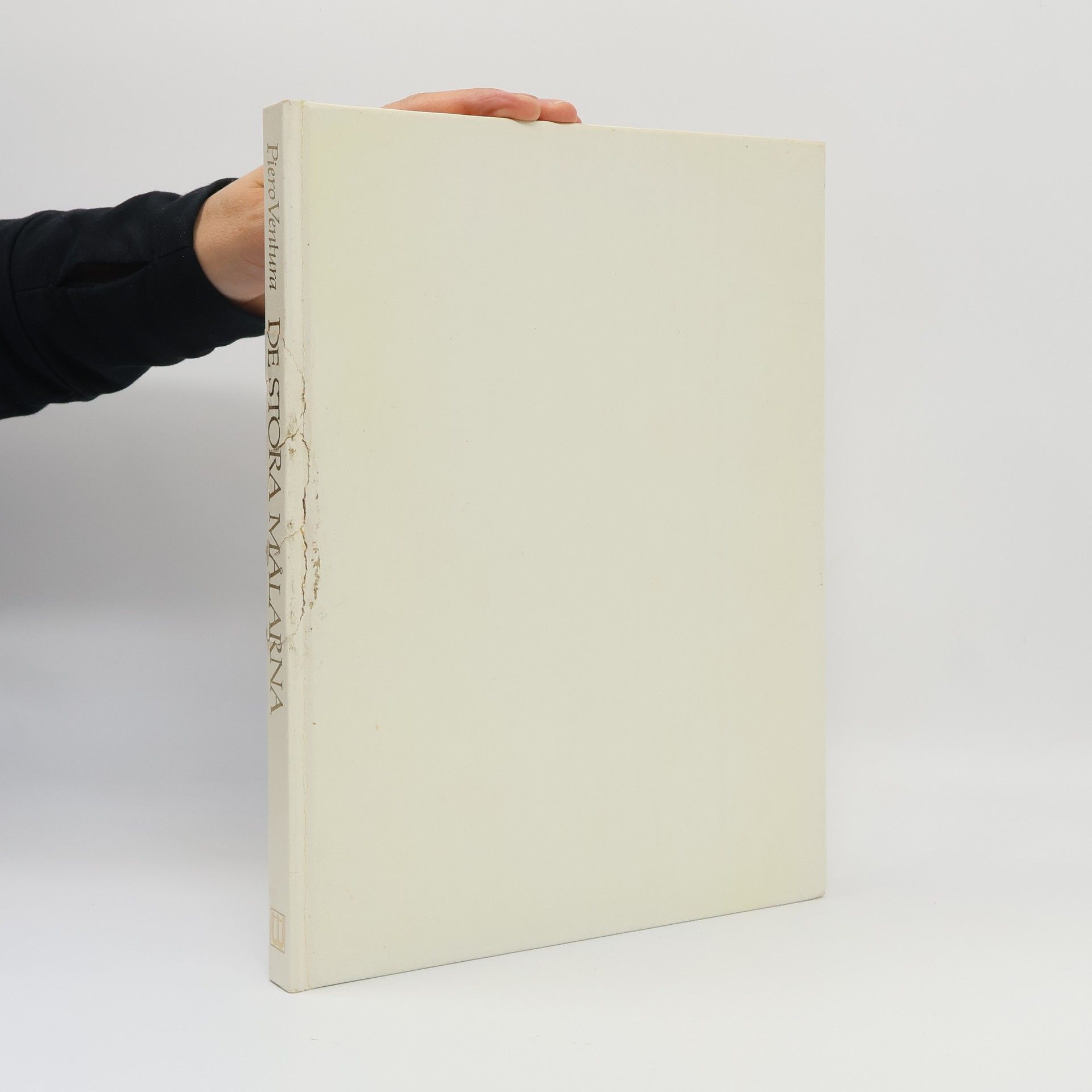 Piero Ventura De Stora Målarna