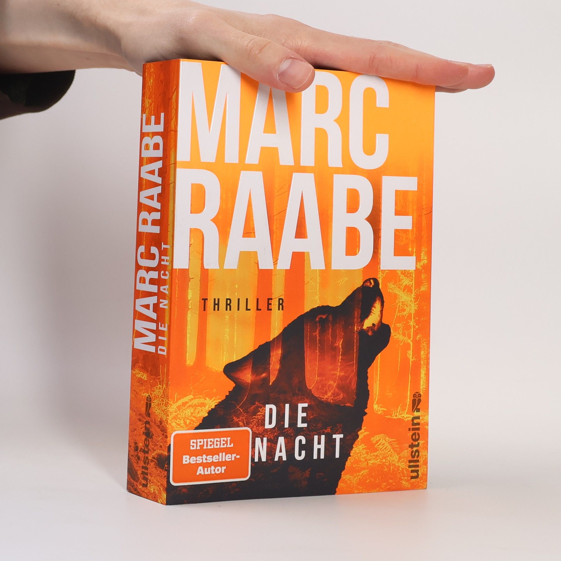 Marc Raabe Die Nacht