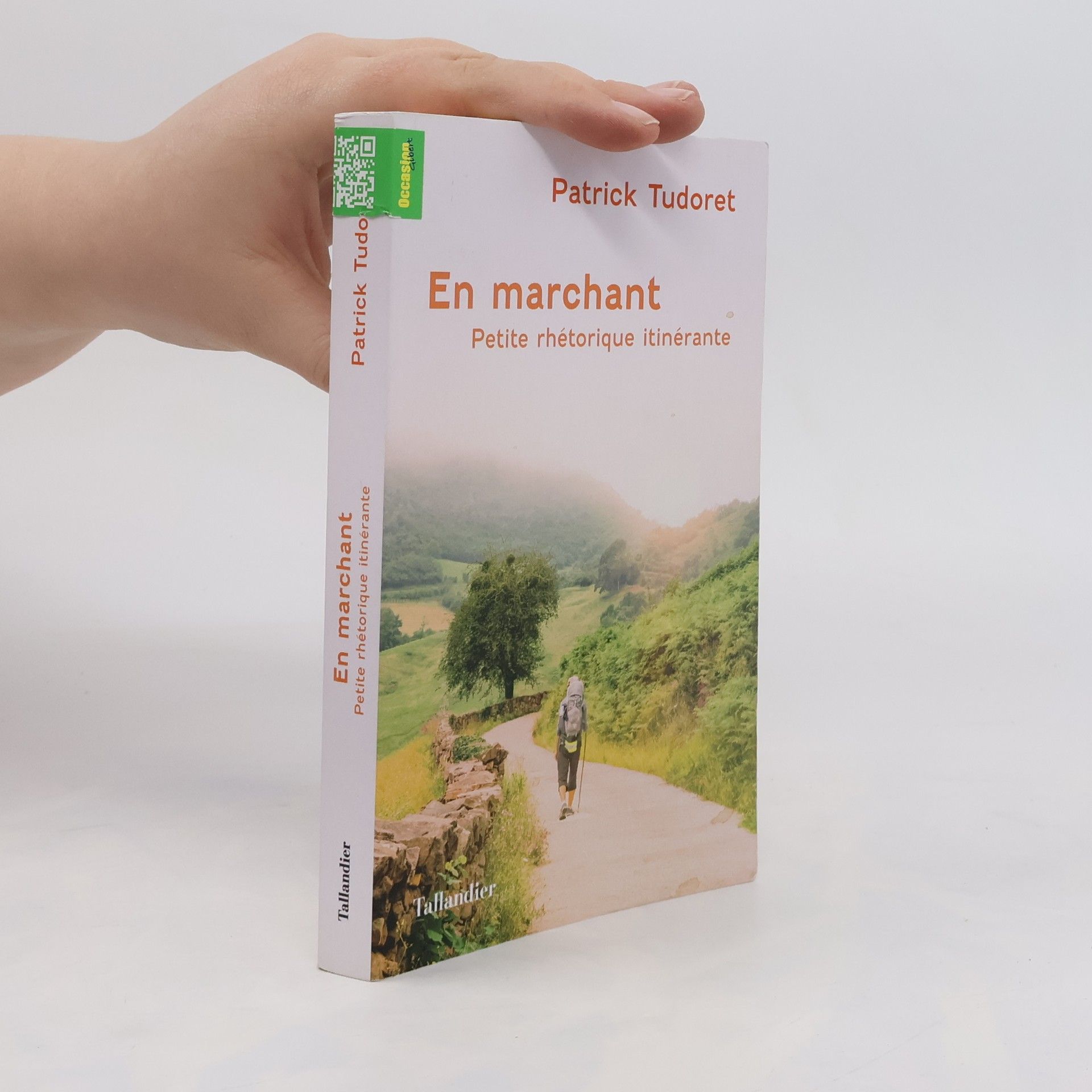 Patrick Tudoret En marchant