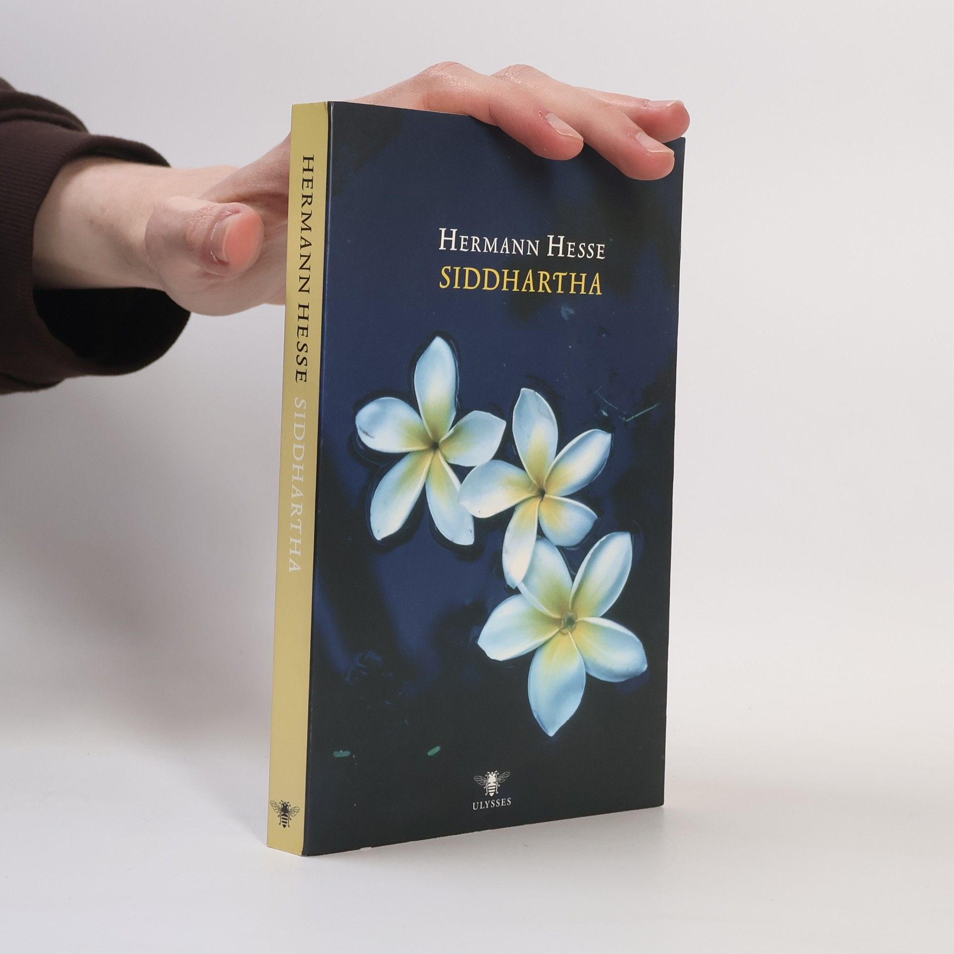 Hermann Hesse Ulysses klassieken: Siddhartha