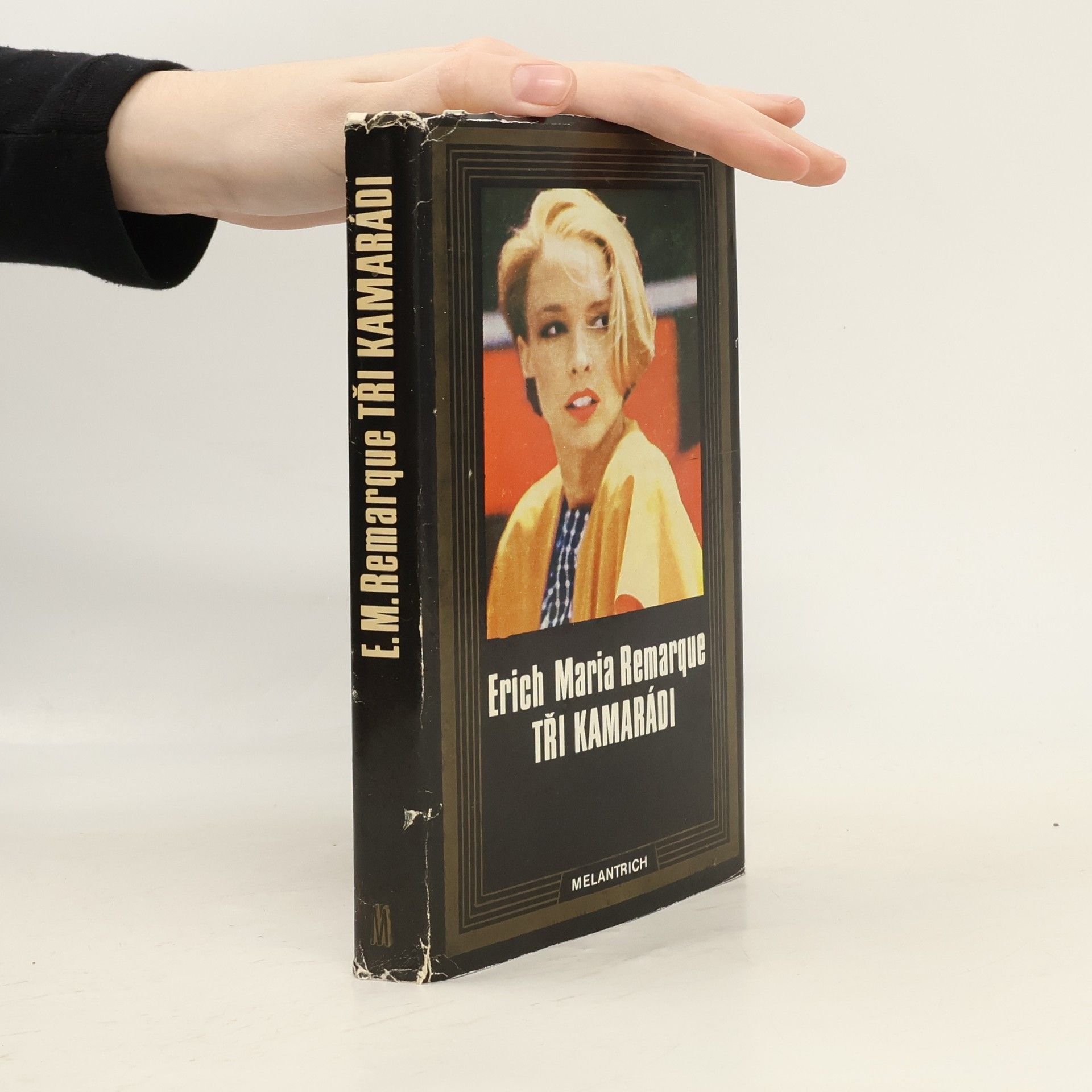 Erich Maria Remarque Tři kamarádi