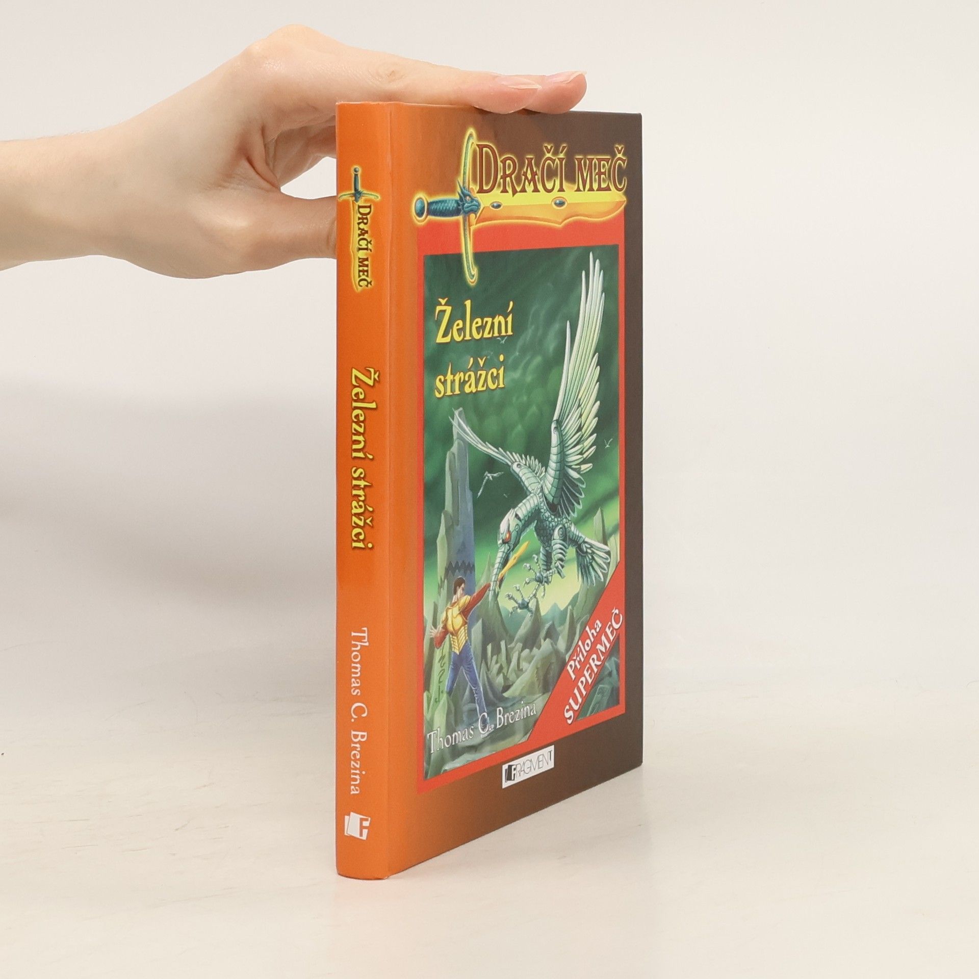 Thomas Brezina Dračí meč: Železní strážci