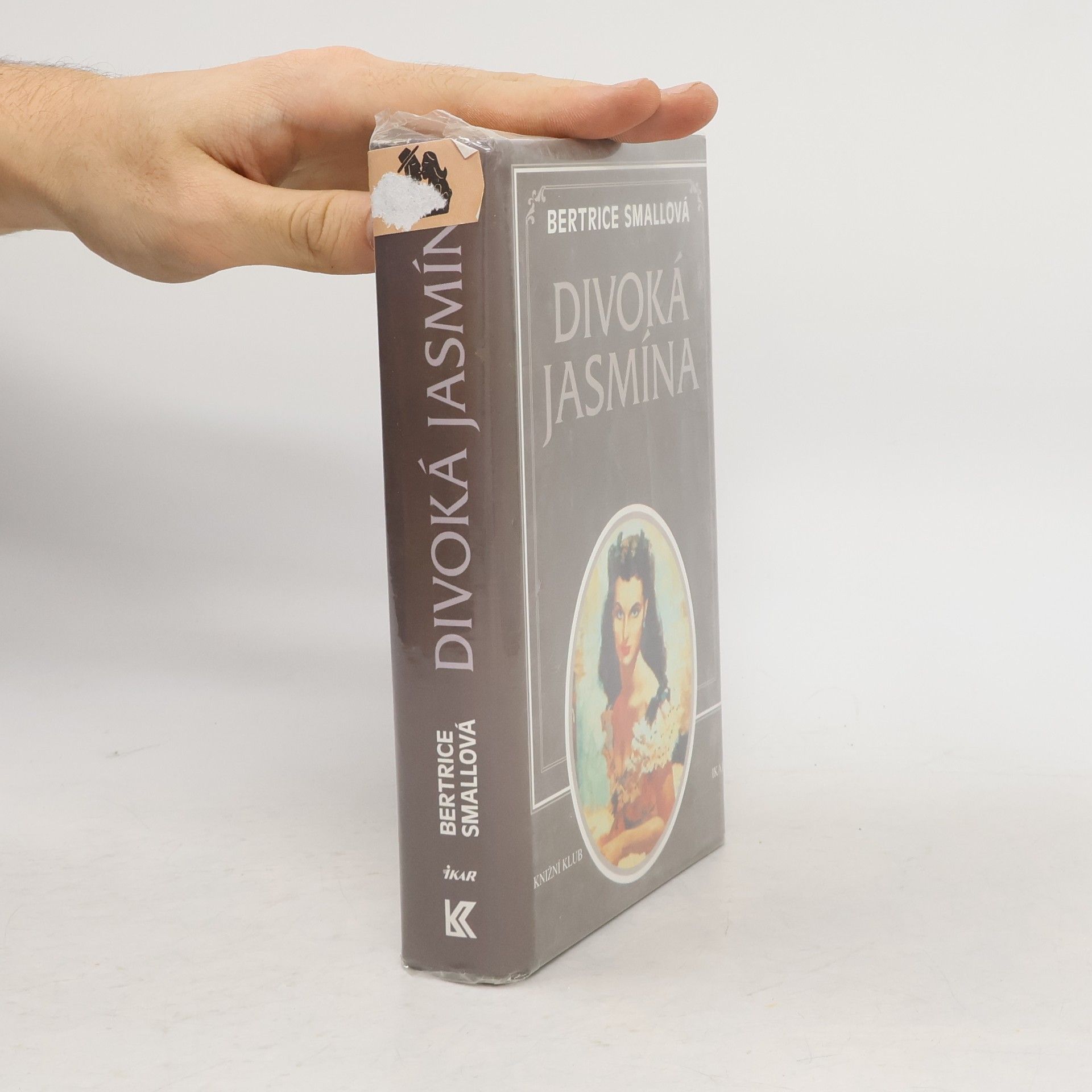 Bertrice Small Divoká Jasmína