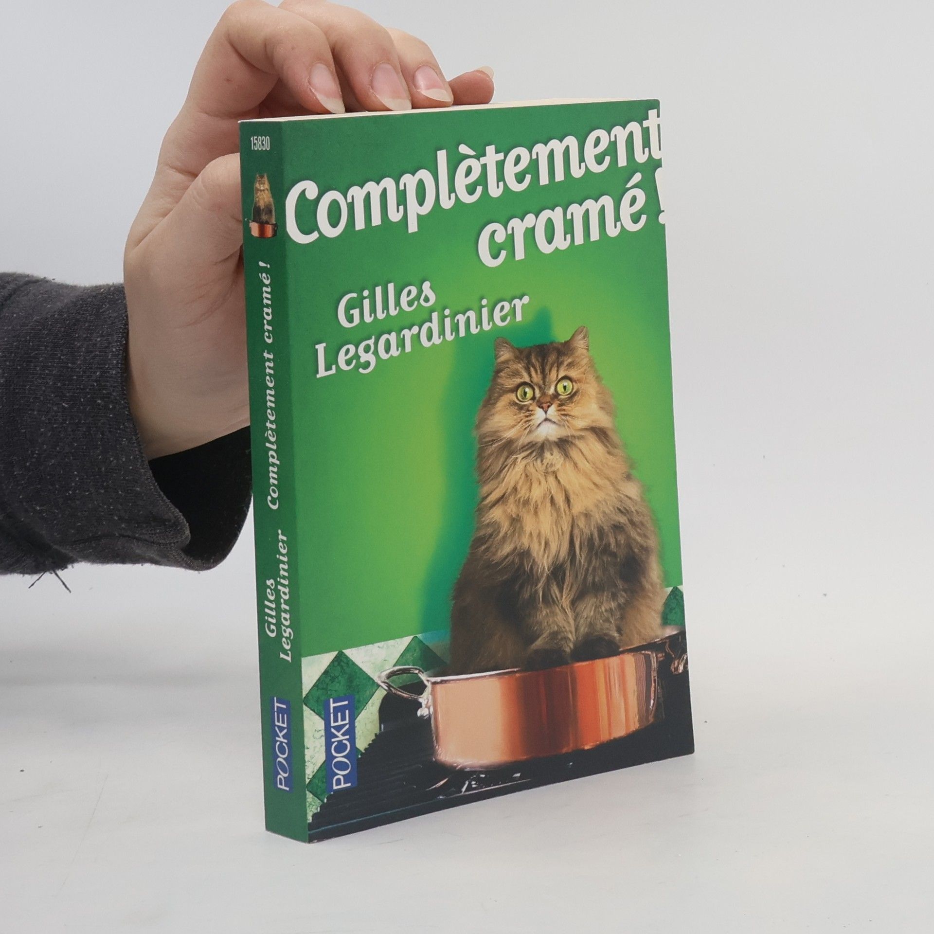 Gilles Legardinier Complètement cramé!