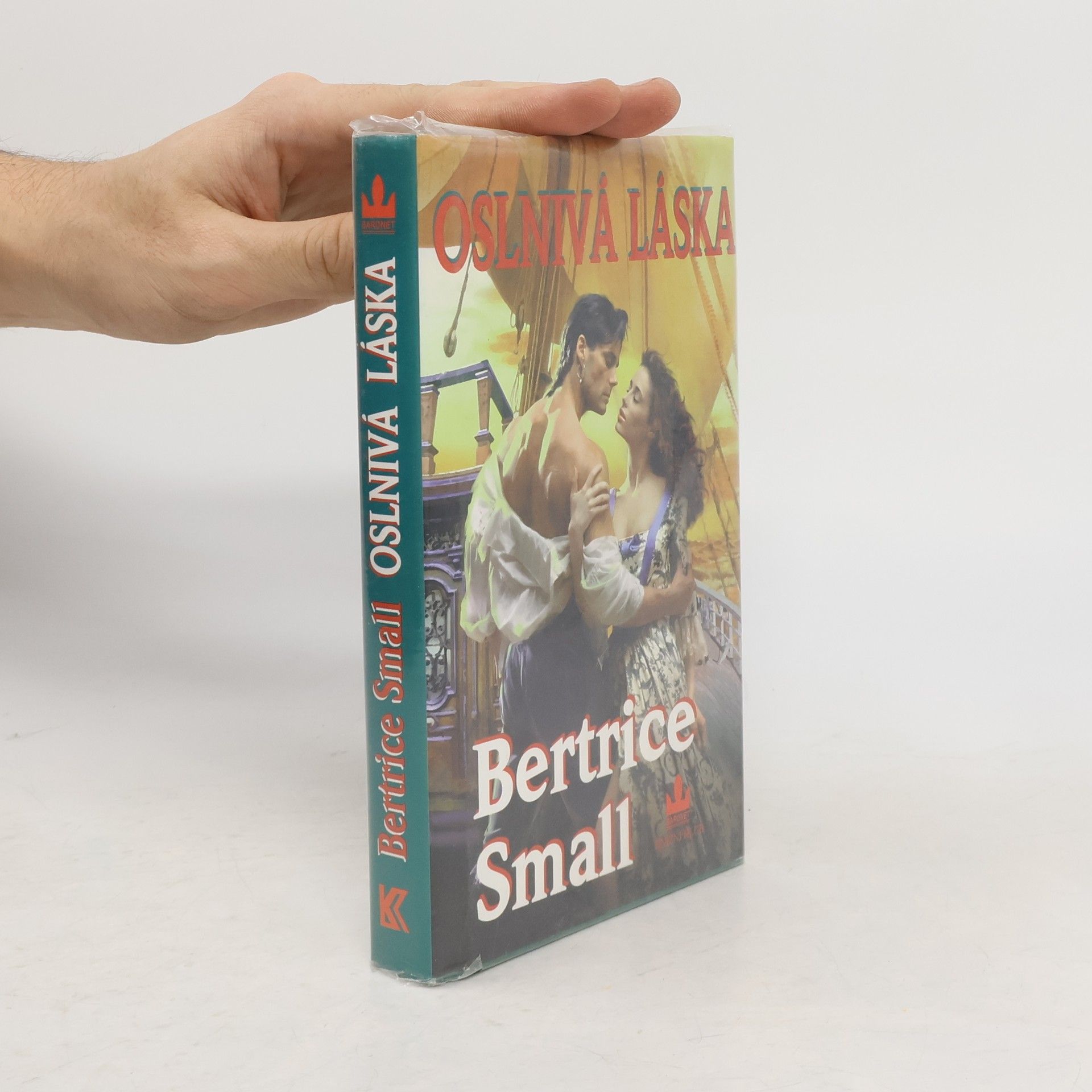 Bertrice Small Oslnivá láska