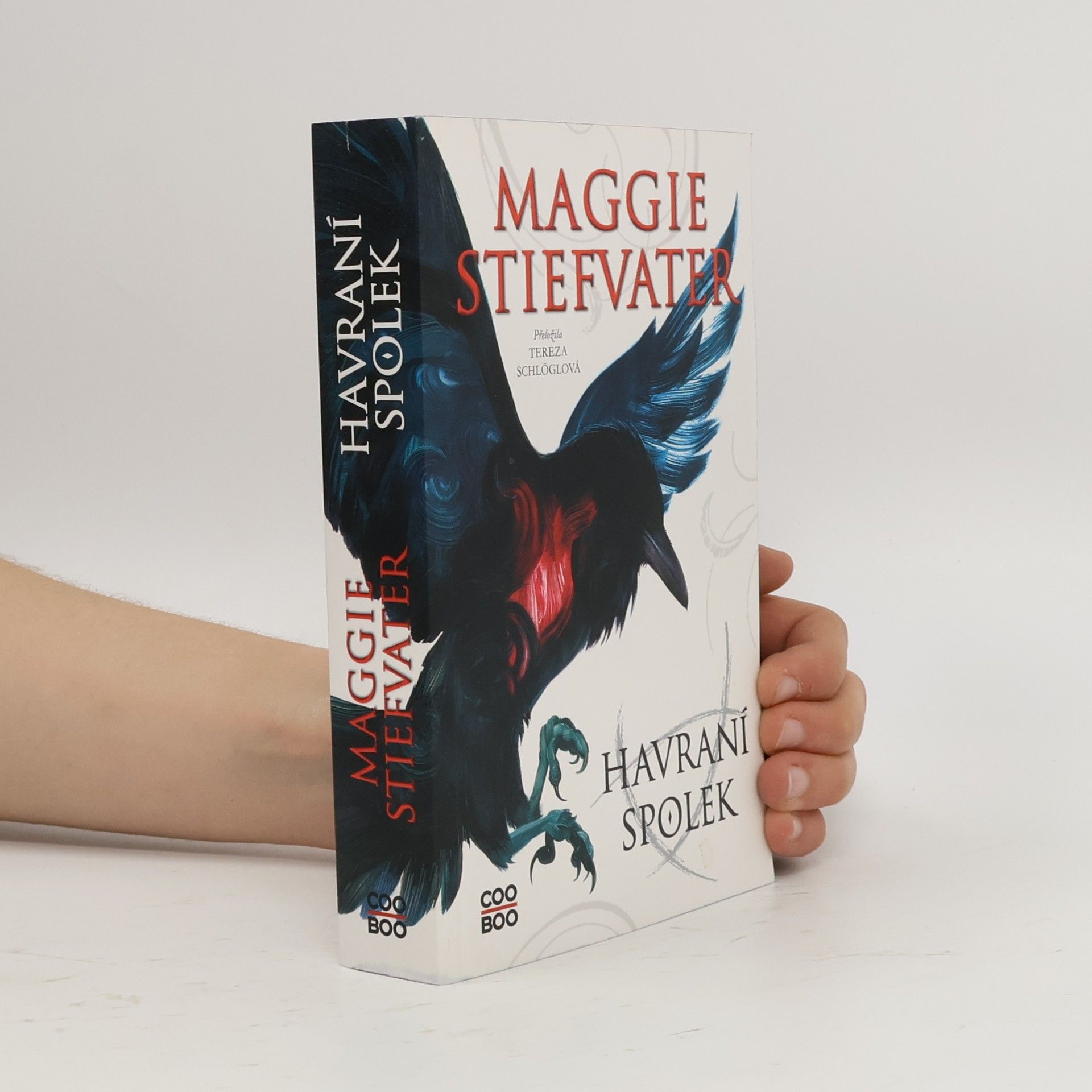 Maggie Stiefvater Havraní spolek