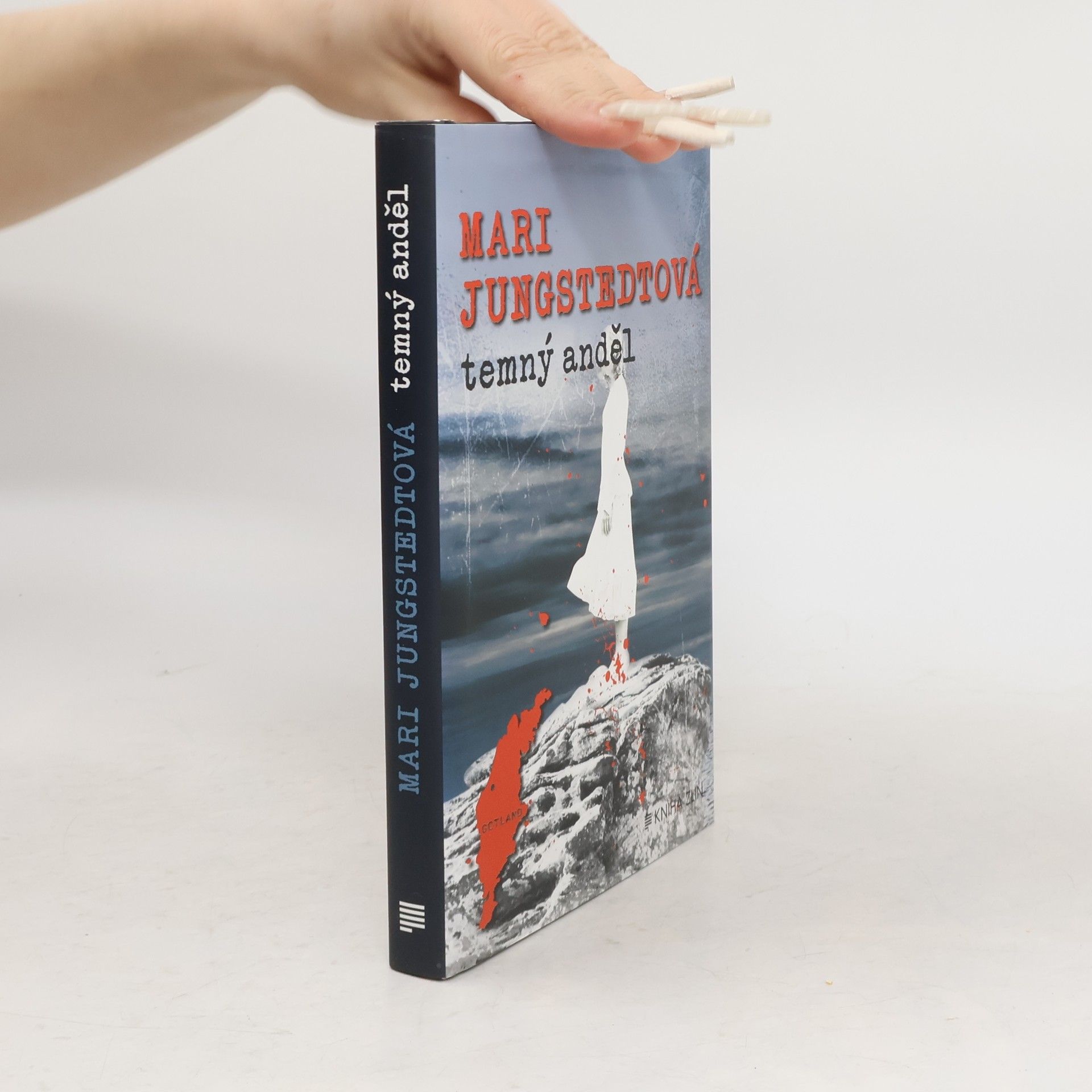 Mari Jungstedt Temný anděl