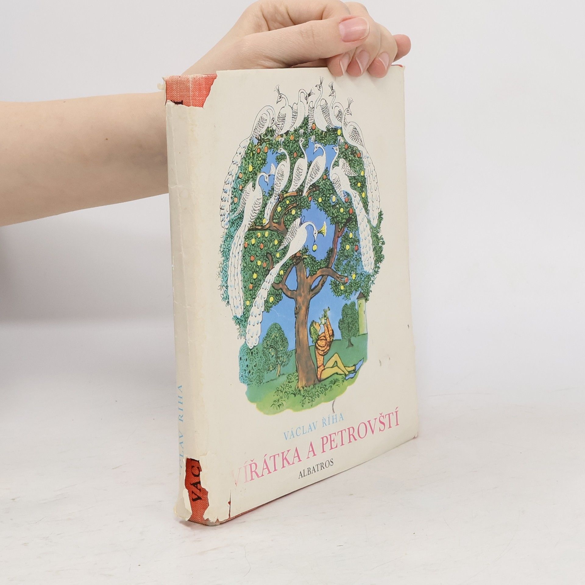 Václav Tille Zvířátka a Petrovští