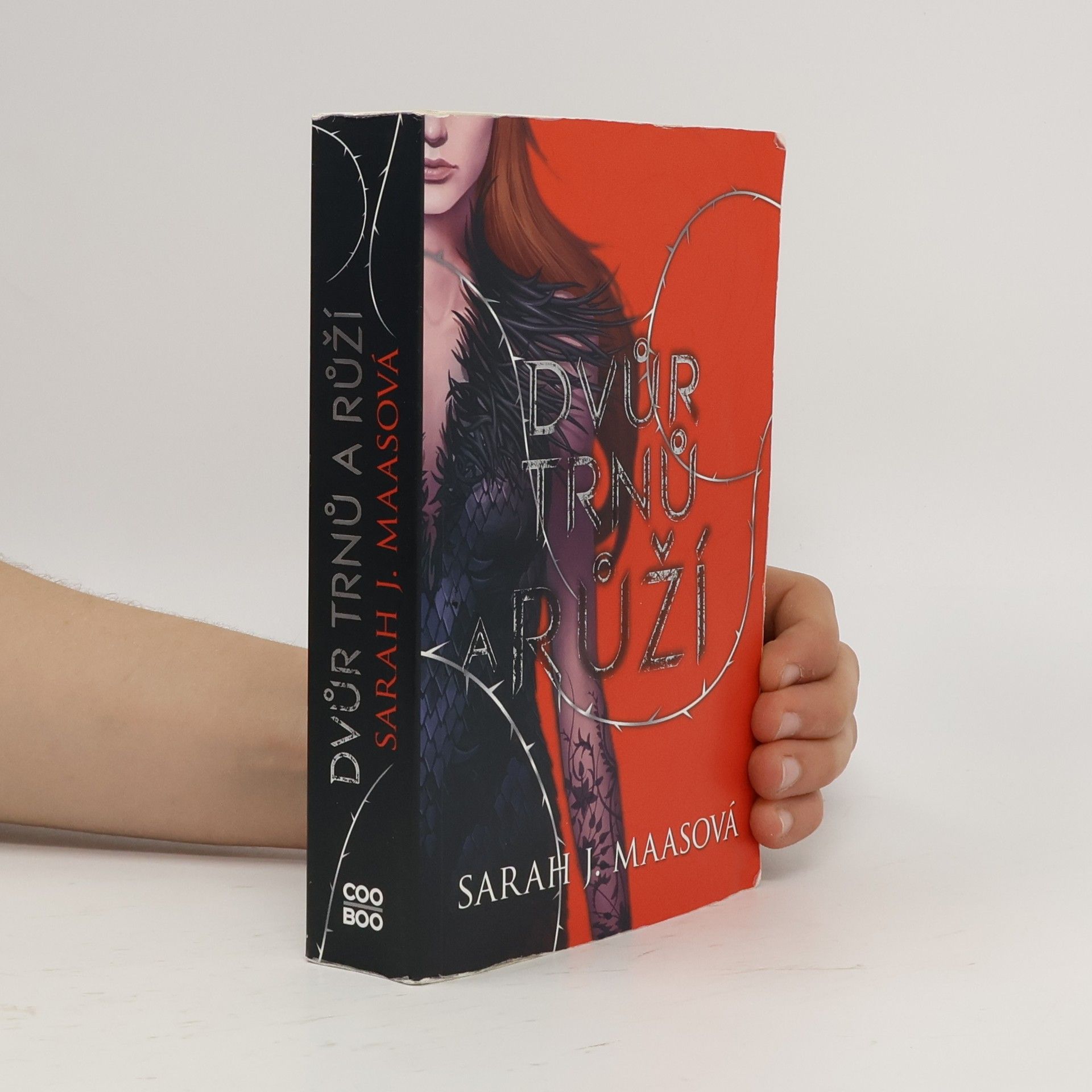 Sarah J. Maas Dvůr trnů a růží