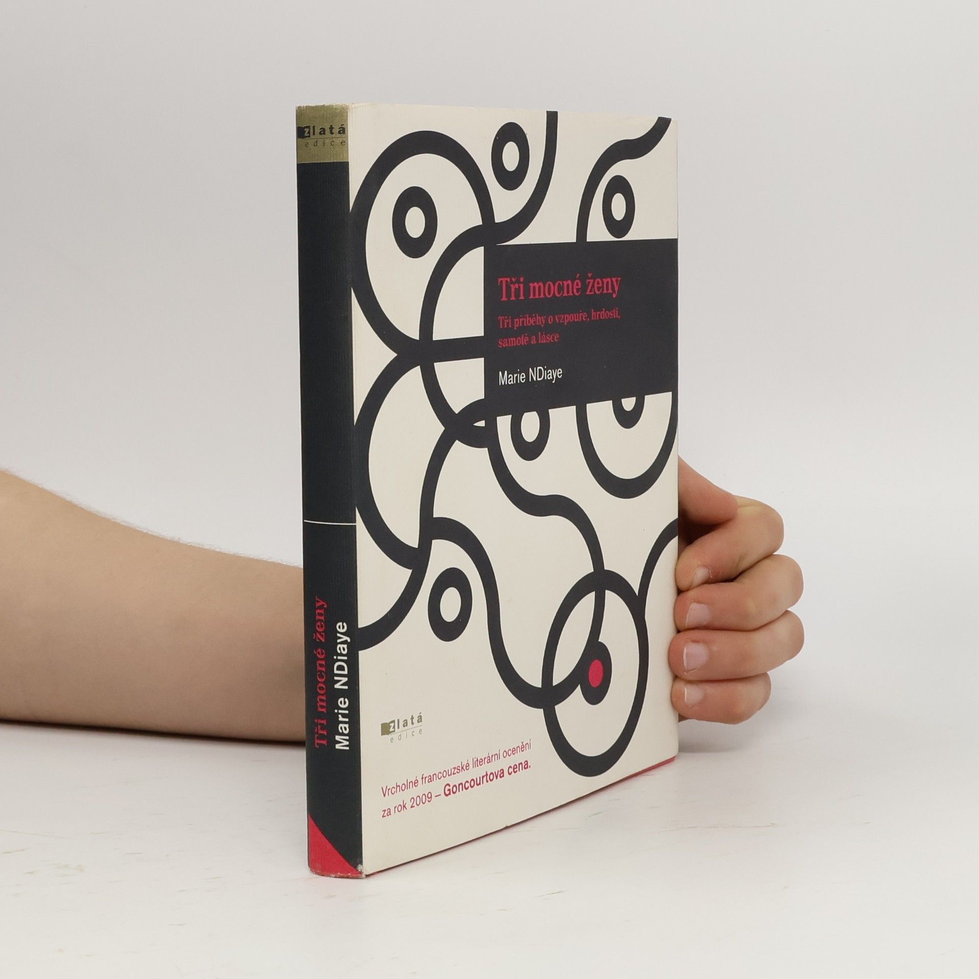 Marie NDiaye Tři mocné ženy