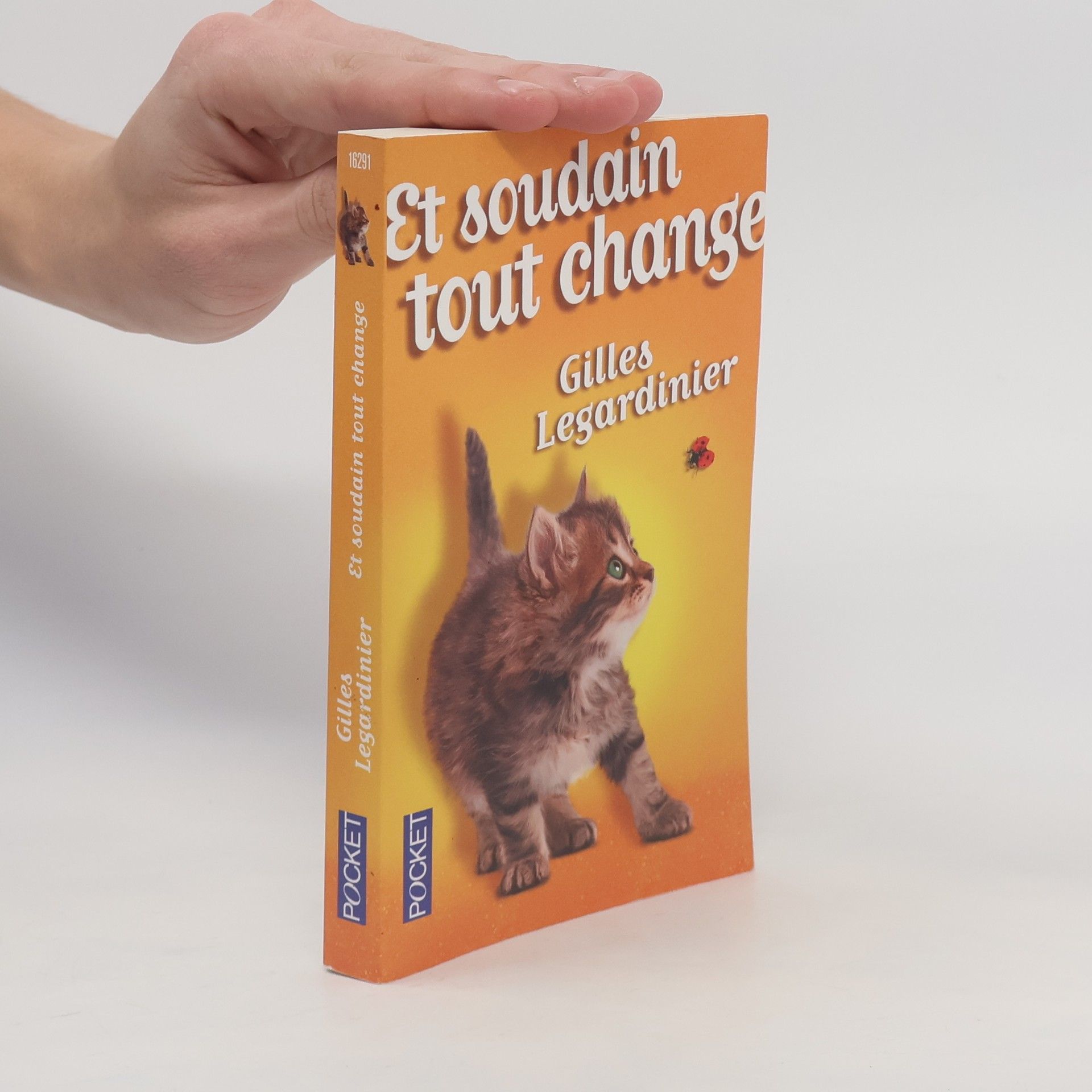 Gilles Legardinier Et soudain, tout change