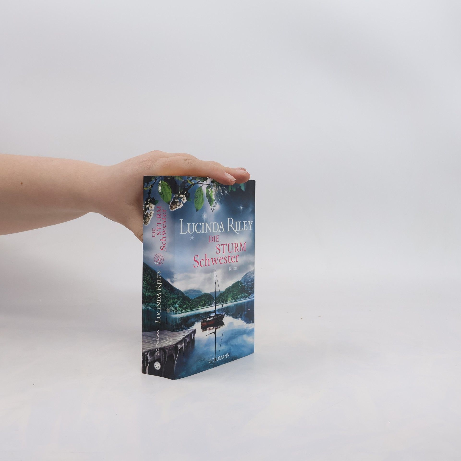 Lucinda Riley Die Sturmschwester