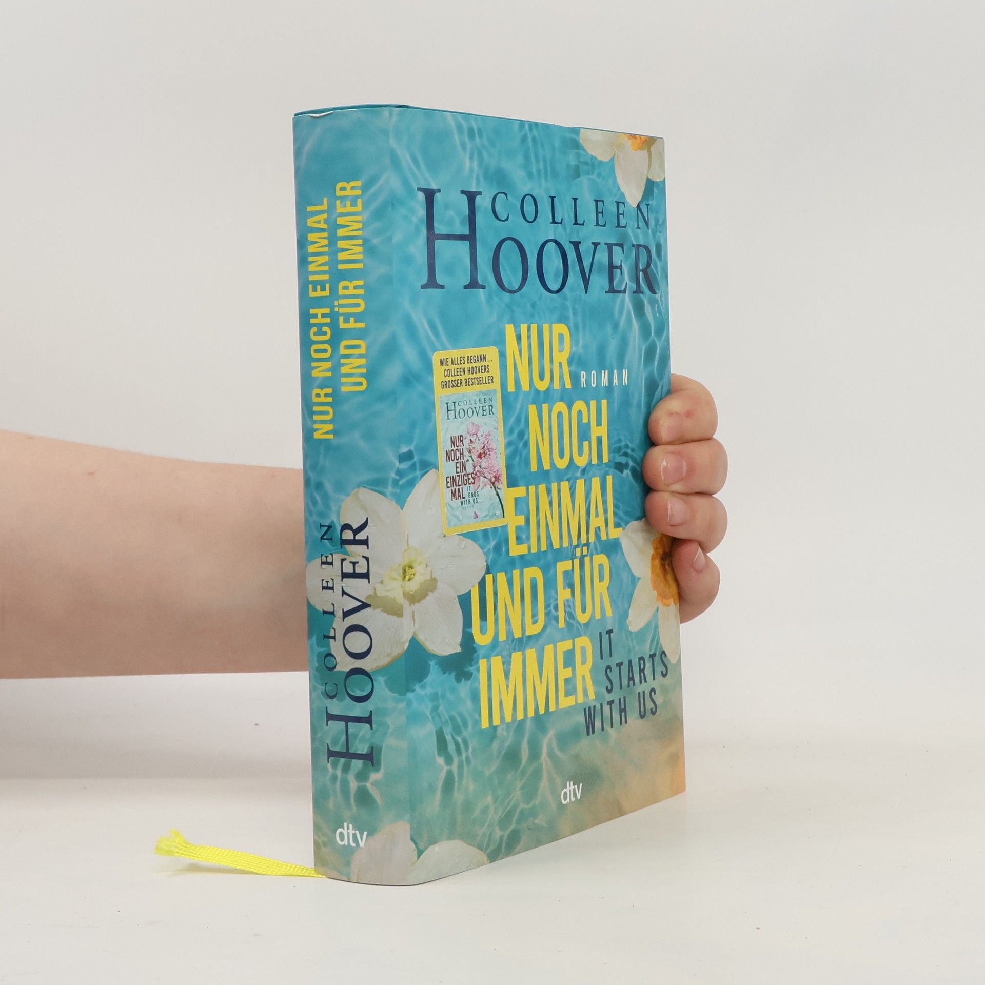 Colleen Hoover Nur noch einmal und für immer