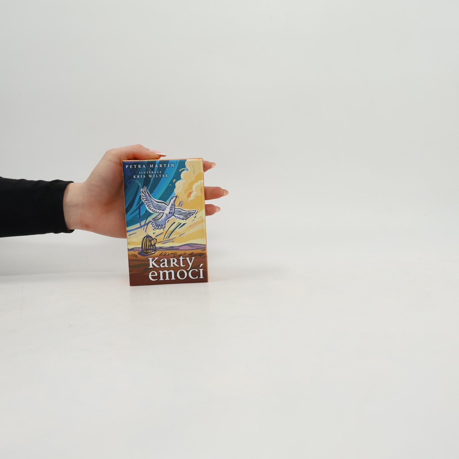 Petra Martin Karty emocí