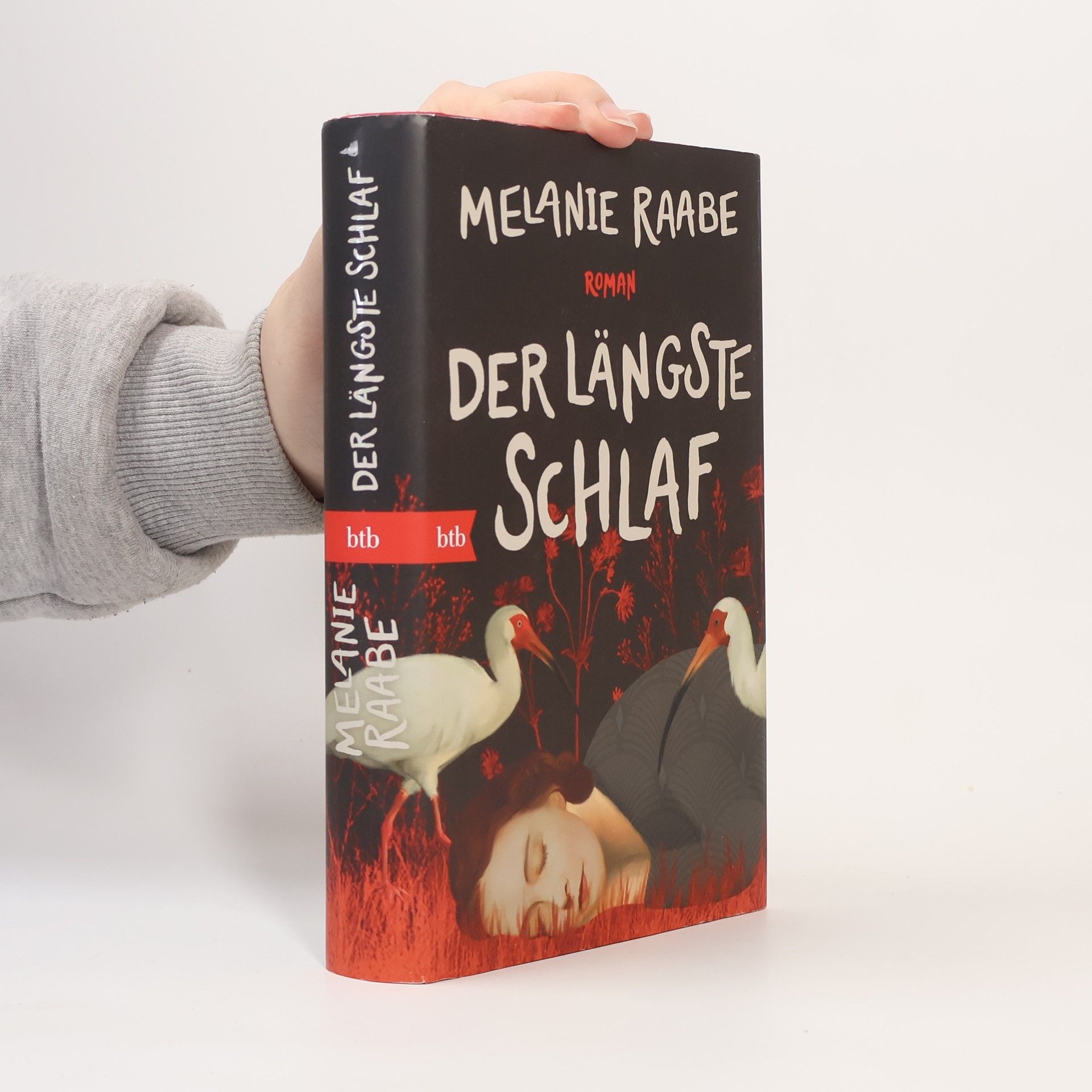 Melanie Raabe Der längste Schlaf. Roman