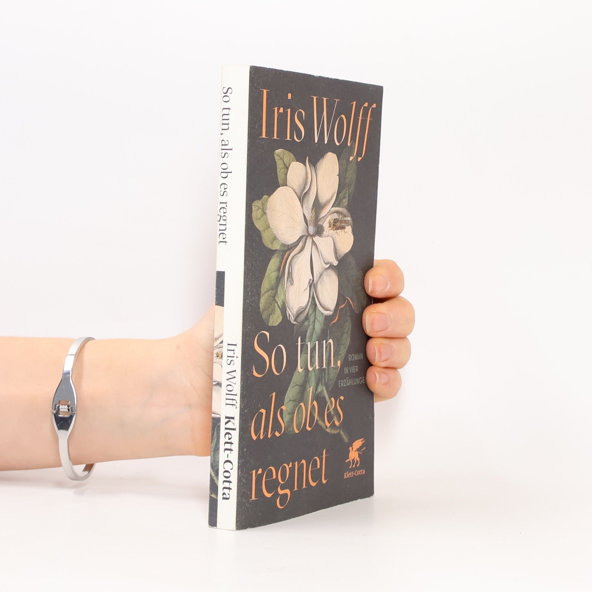 Iris Wolff So tun, als ob es regnet