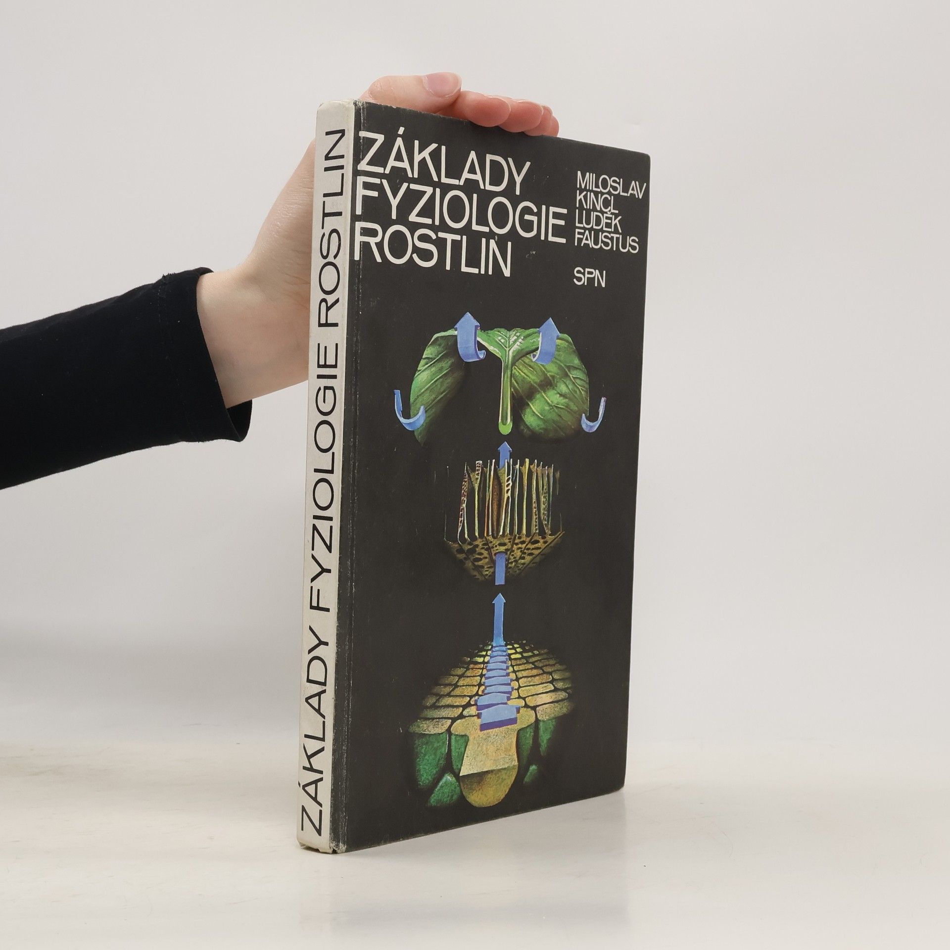 Základy fyziologie rostlin