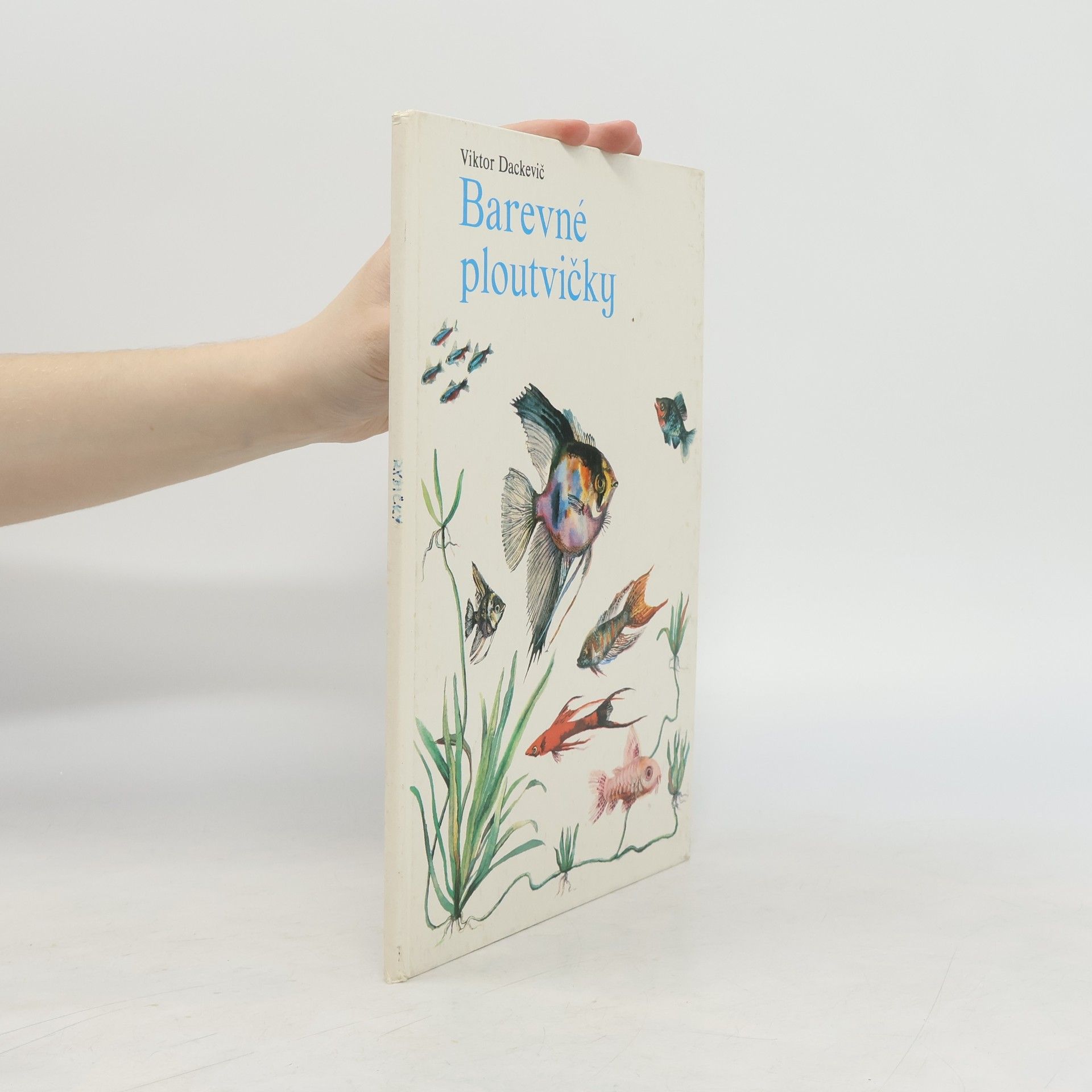 Viktor Dackevič Barevné ploutvičky