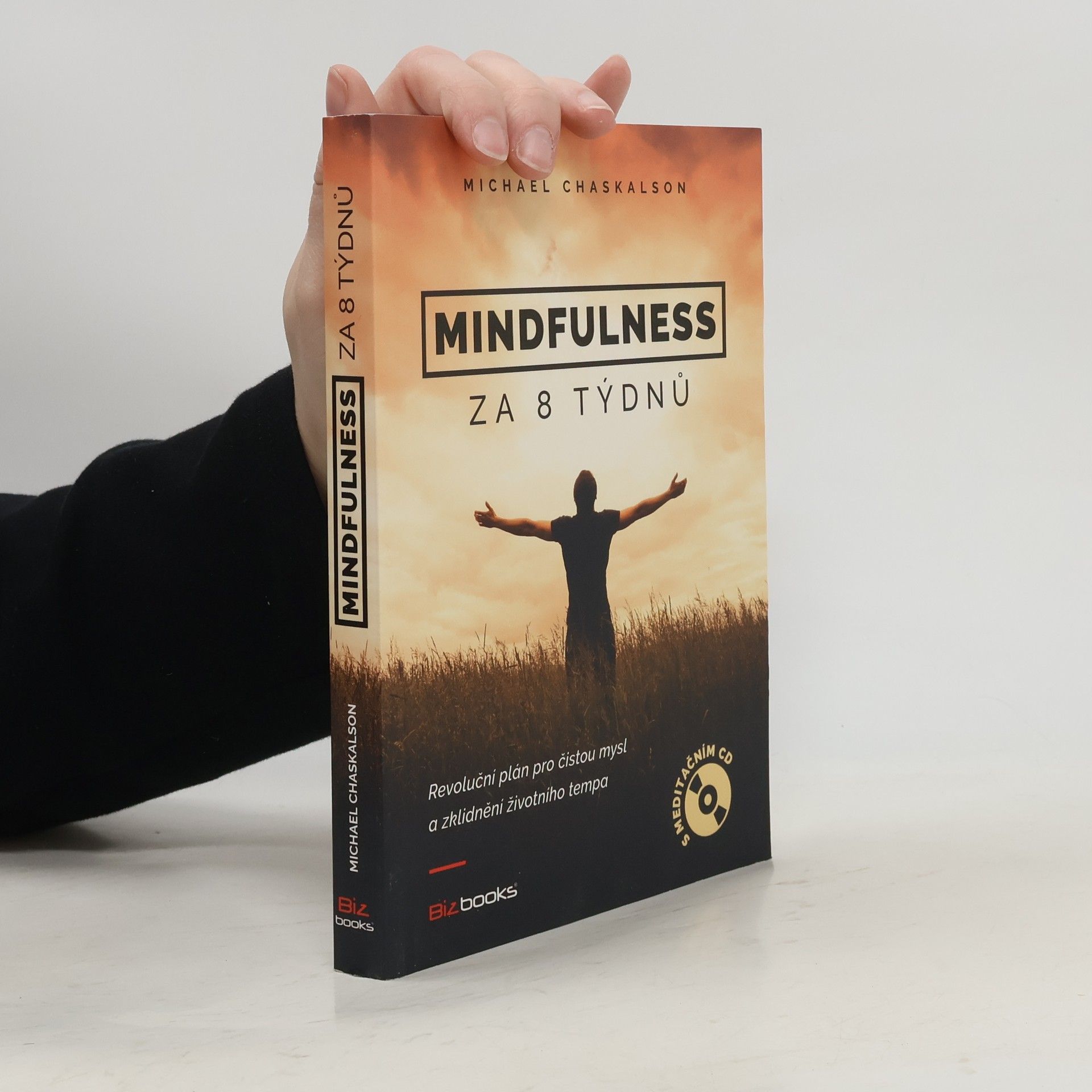 Michael Chaskalson Mindfulness za 8 týdnů. Revoluční plán pro čistou mysl a zklidnění životního tempa