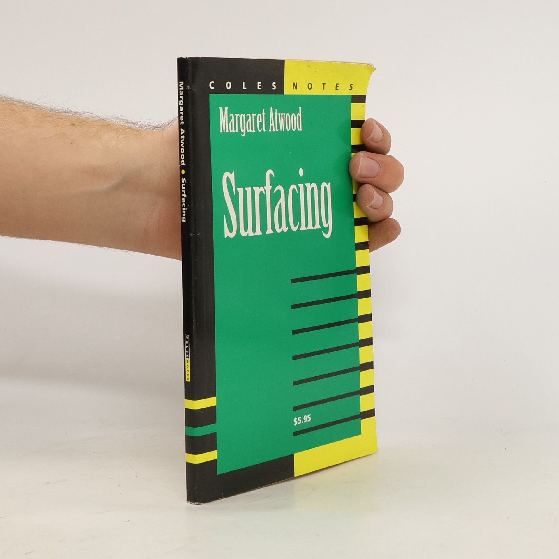 Margaret Atwood Surfacing Notes