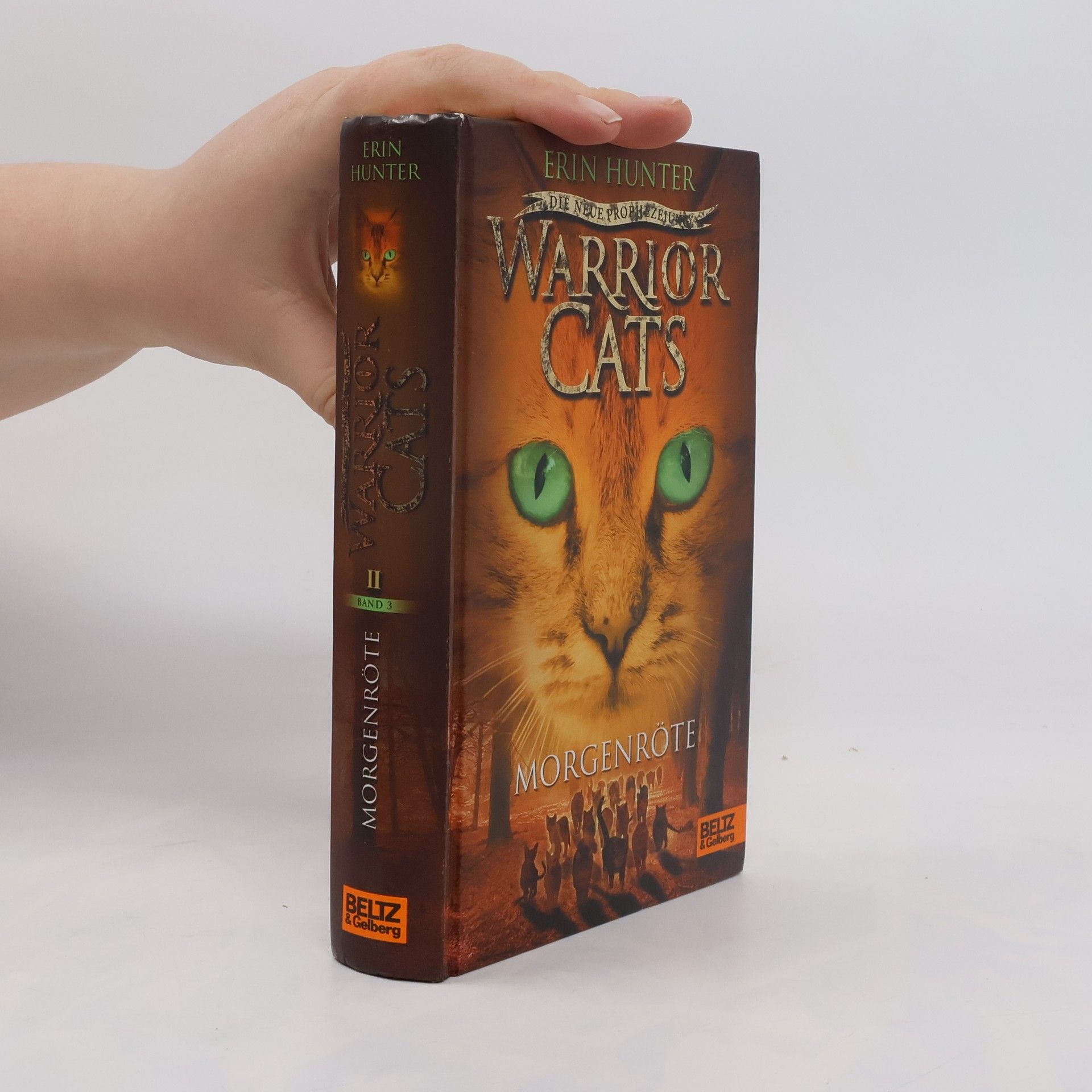 Erin Hunter Warrior Cats - Morgenröte
