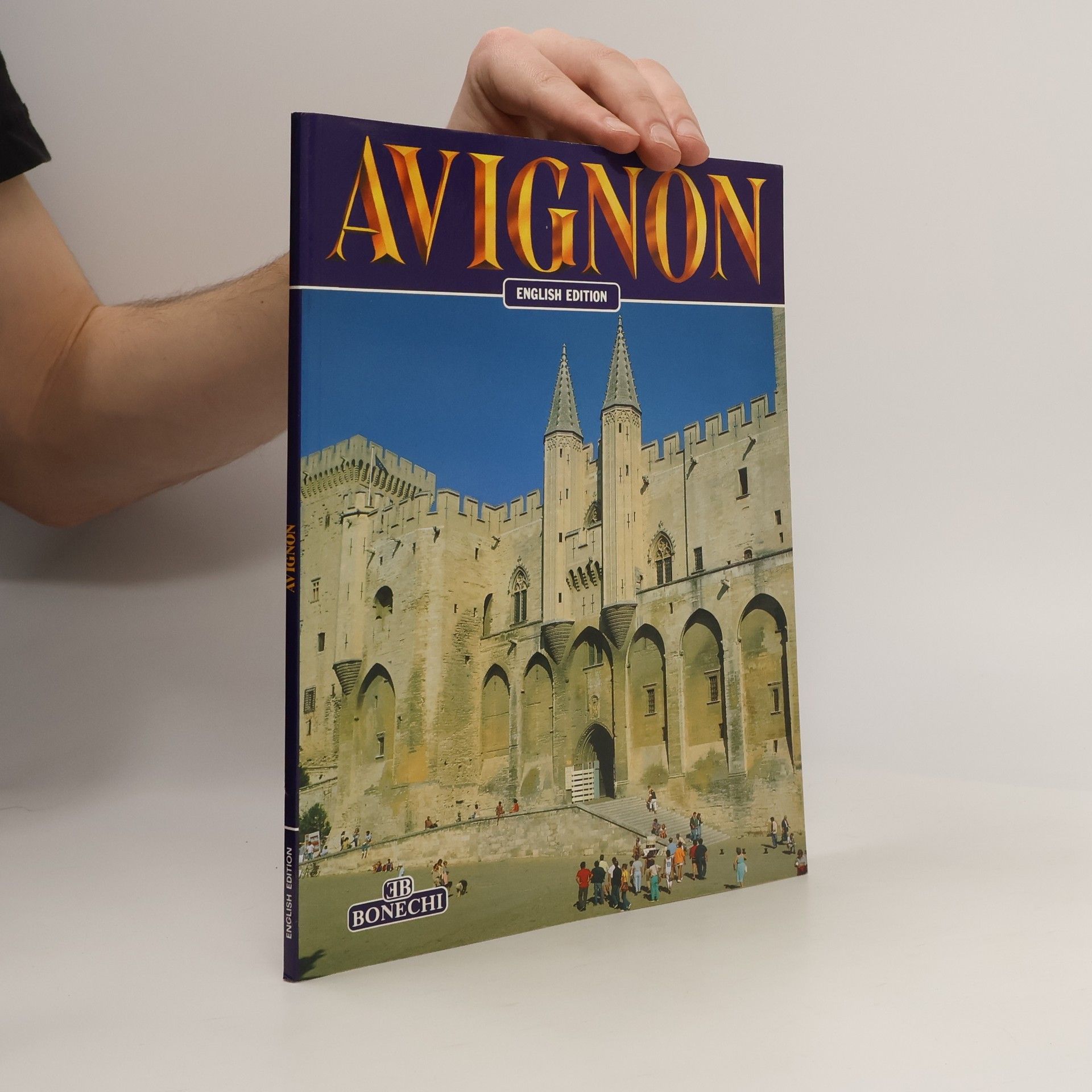 Autores varios Avignon