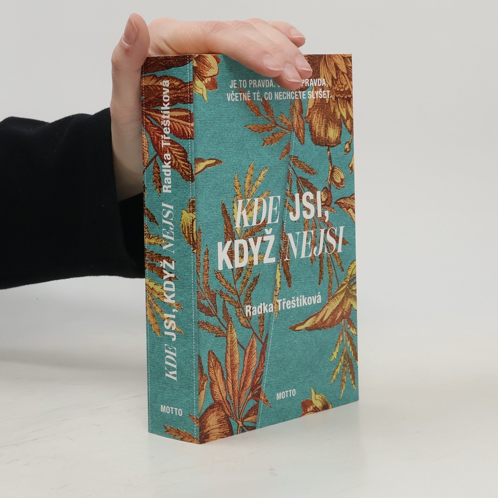 Radka Třeštíková Kde jsi, když nejsi