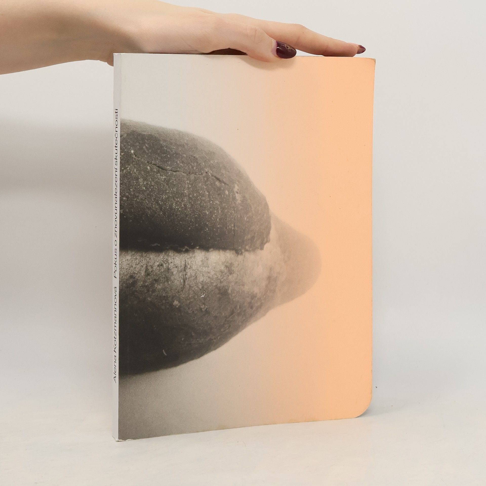 Alena Kotzmannová Pokus o znovunalezení skutečnosti