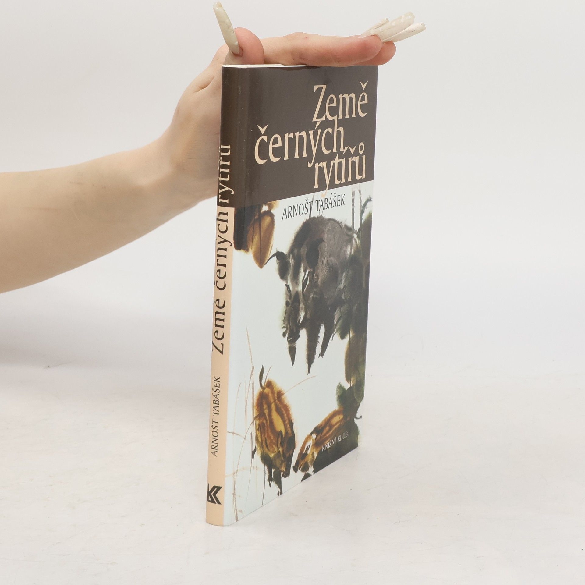 Arnošt Tabášek Země černých rytířů