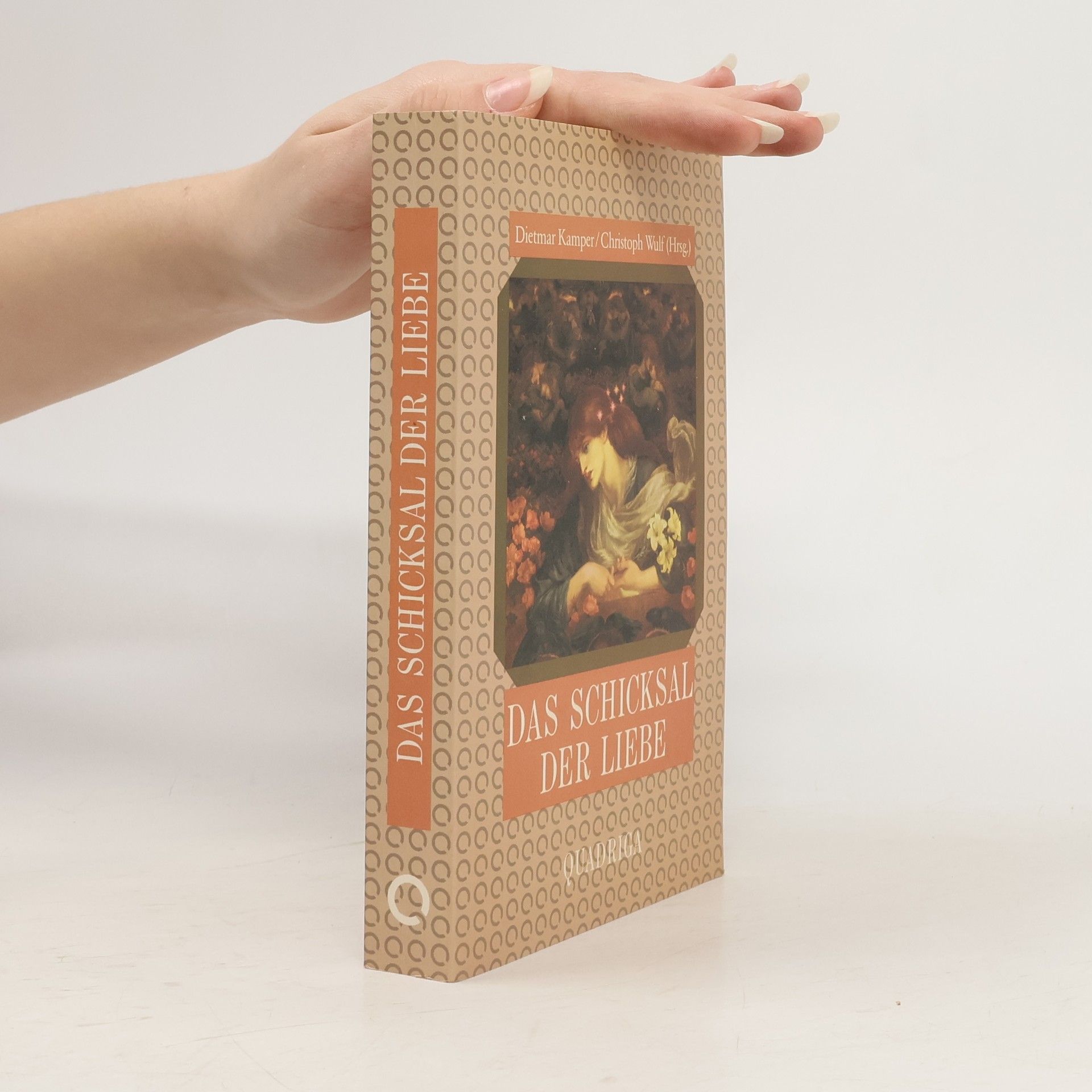 Dietmar Kamper Das Schicksal der Liebe