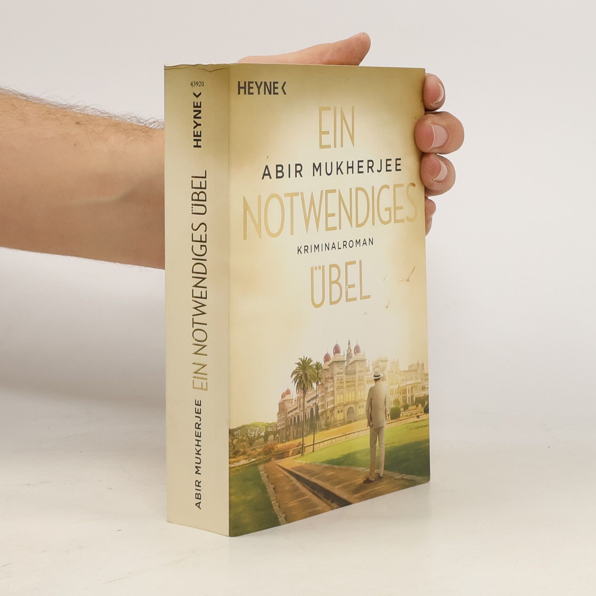 Abir Mukherjee Ein notwendiges Übel