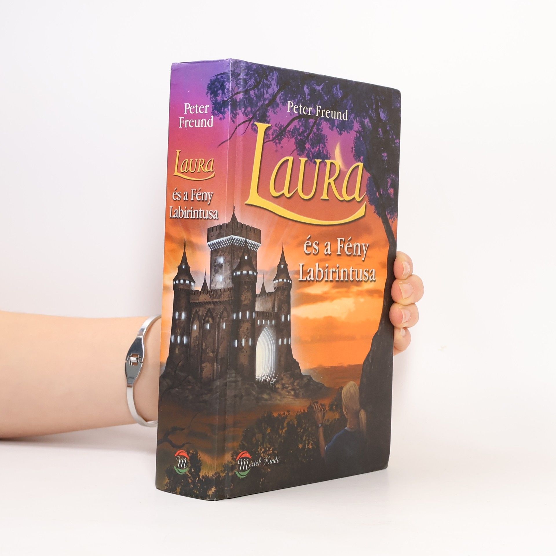 Laura és a fény labirintusa