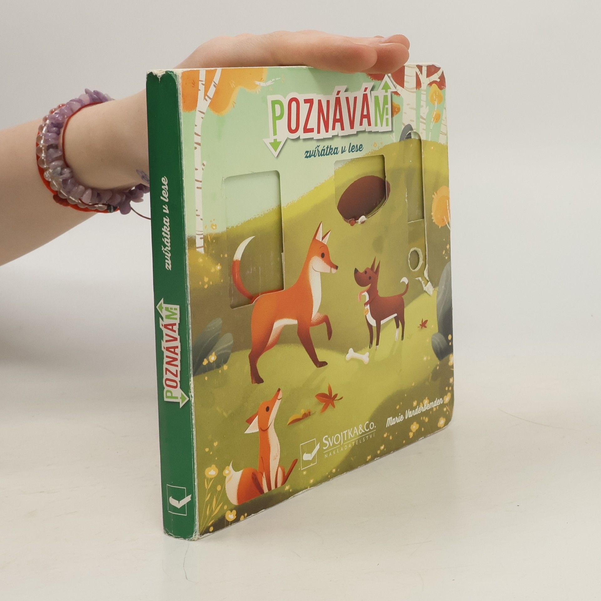 Marie Vanderbemden Poznávám zvířátka v lese