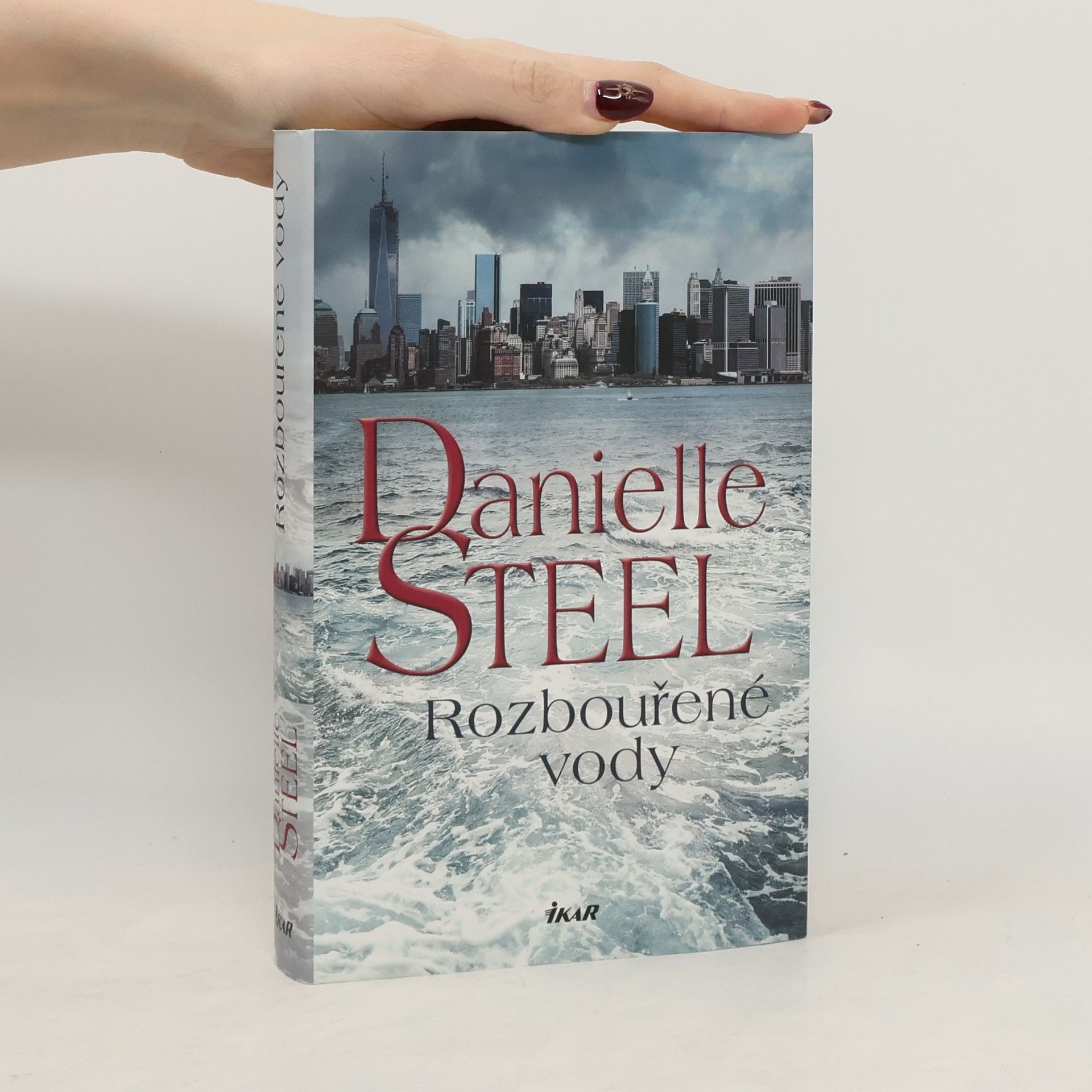Danielle Steelová Rozbouřené vody
