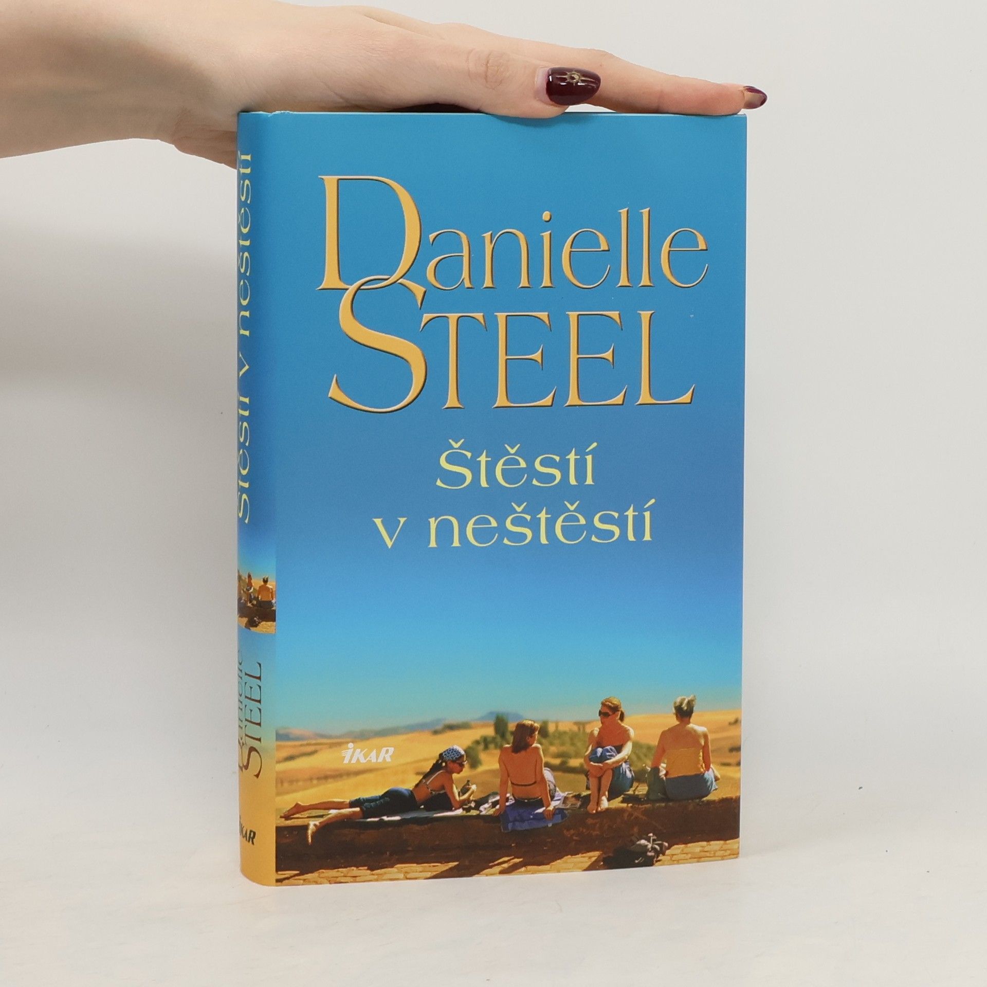 Danielle Steel Štěstí v neštěstí